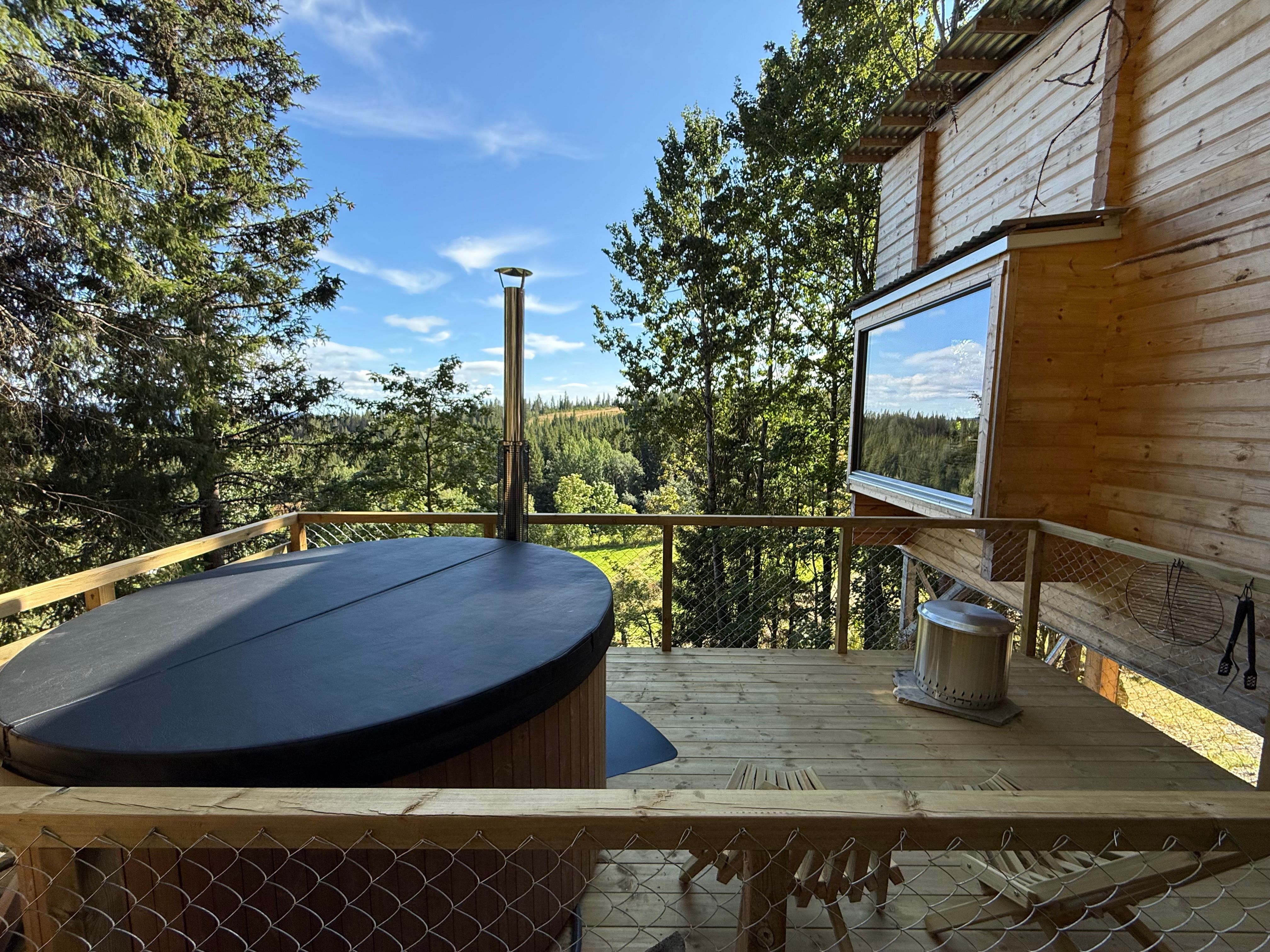 Jacuzzi with a view of the forest and meadow next to a treehouse in the trees