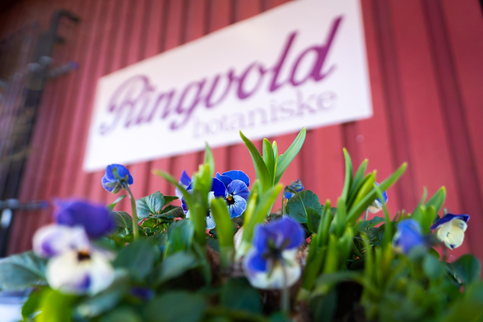 Ringvold Botaniske gårdsbutikk og hagesenter