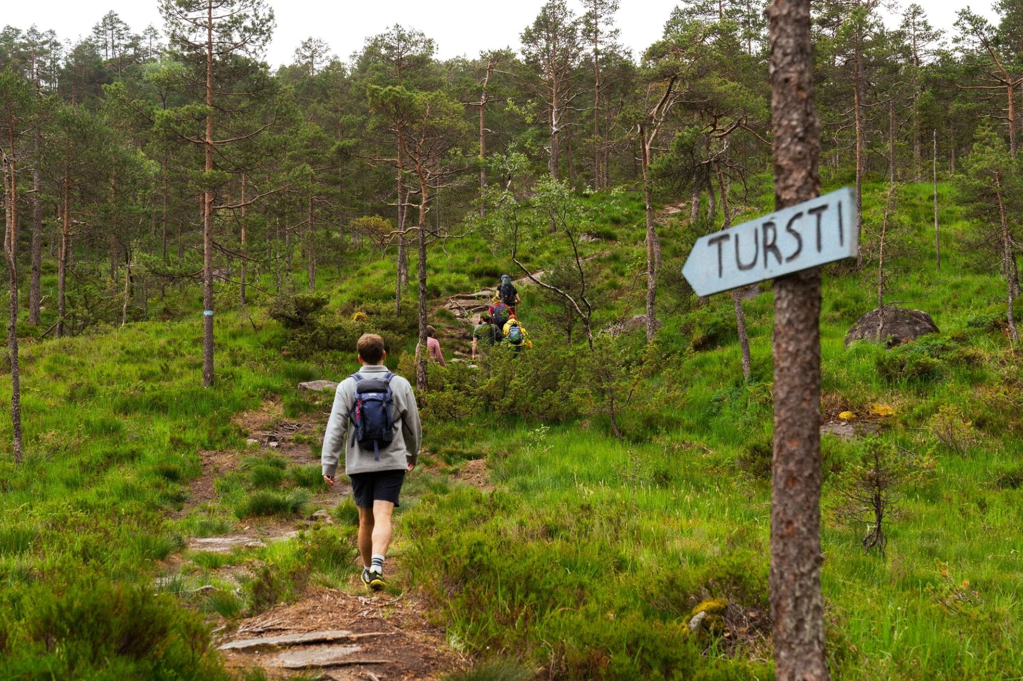 Fjord cruise & guided mountain hike to "Slottet"
