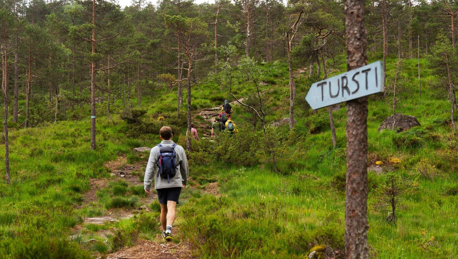 Fjord cruise & guided mountain hike to "Slottet"