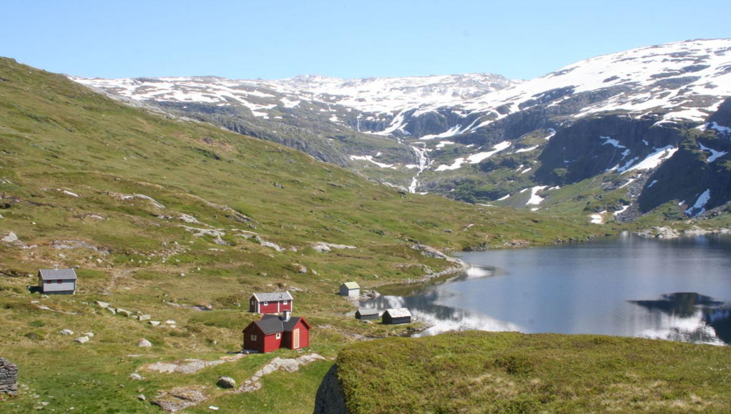 Tostøl, Sveinung Selsvik