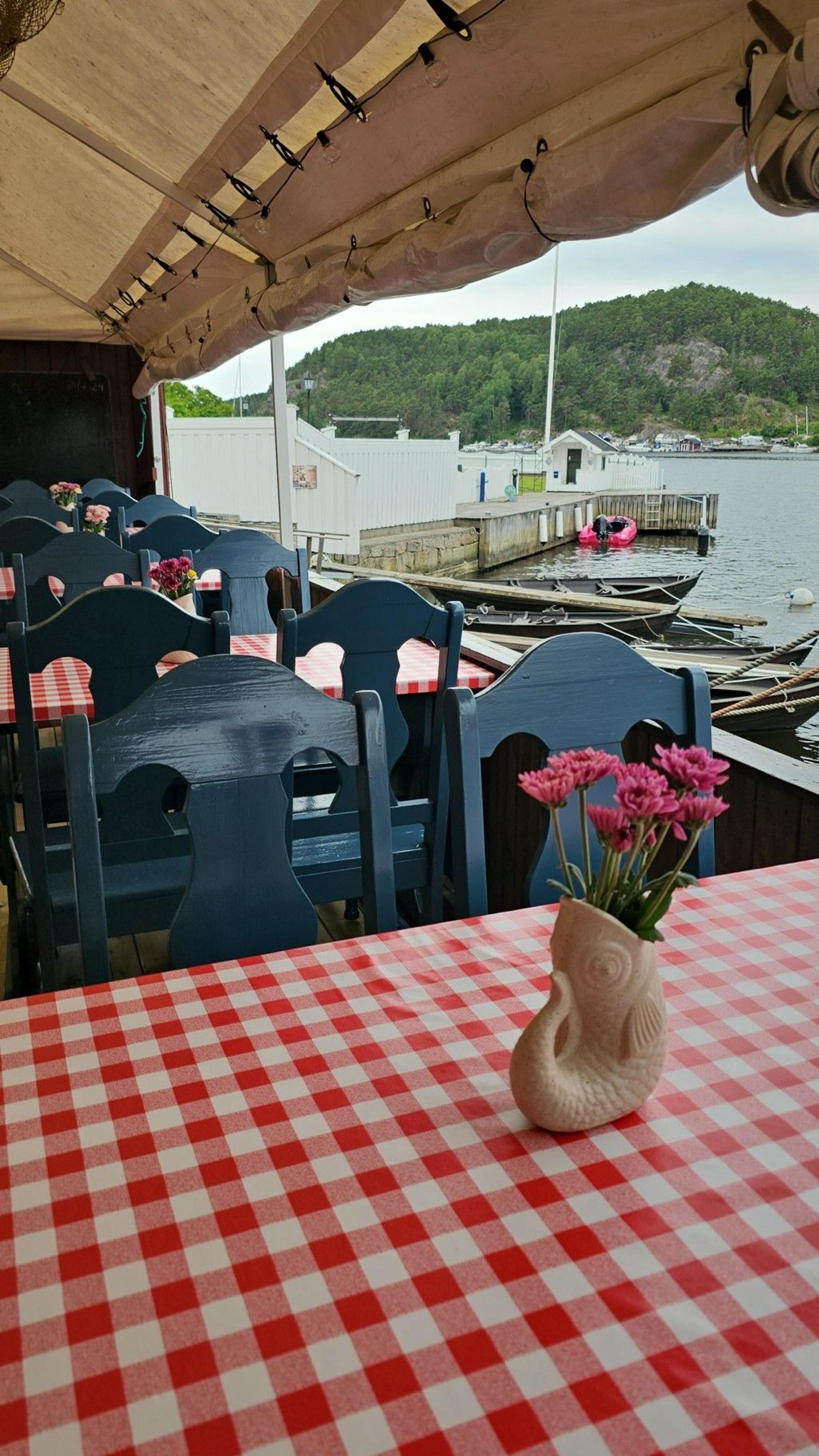 505774437_1306190661507998_4304441404407784750_n