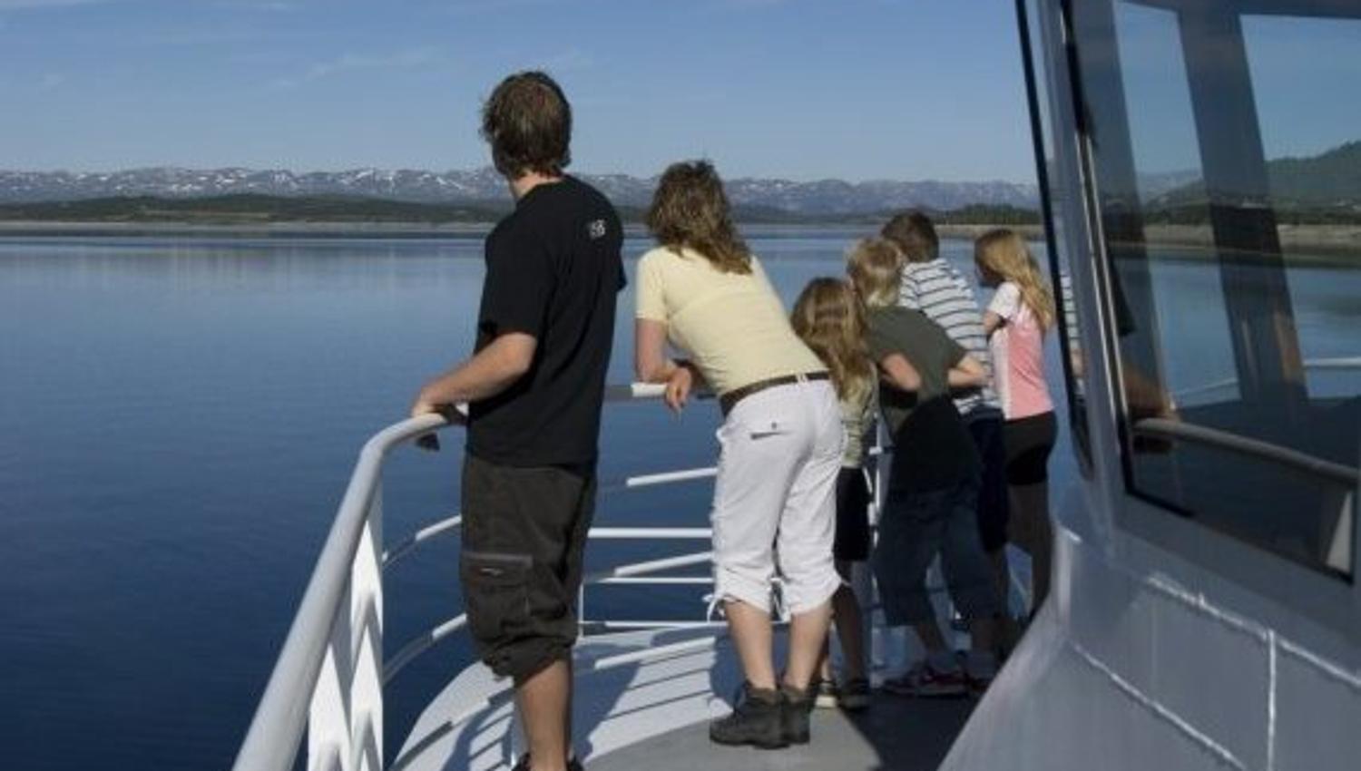 Fjellvåken ved rekka