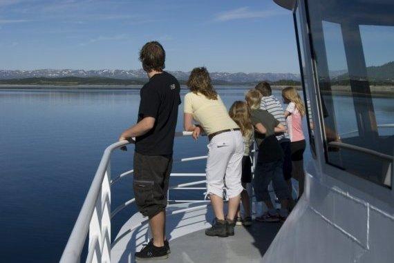 Fjellvåken ved rekka