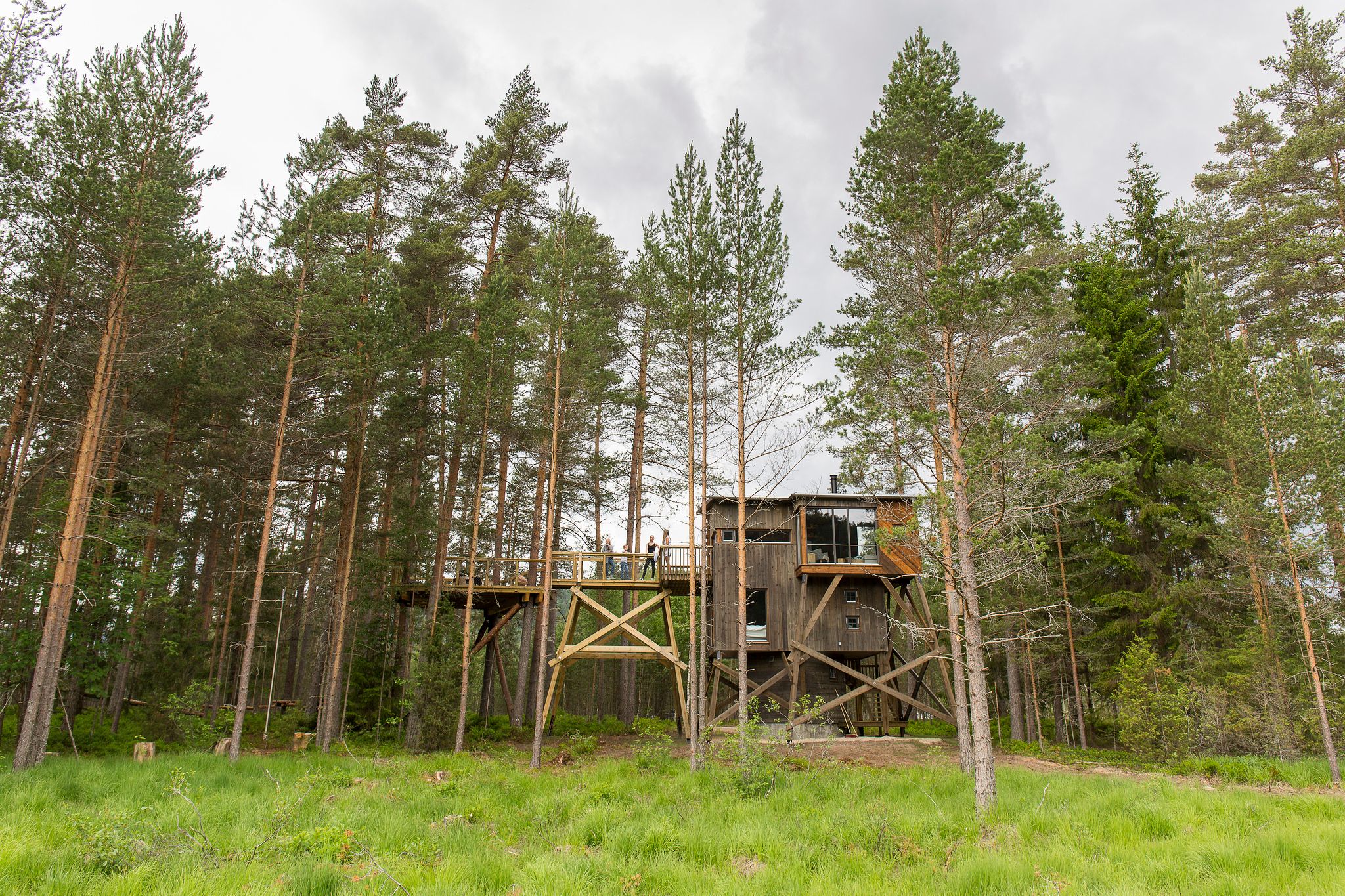 Kråkeslottet Trehyttene i Gjerstad hytte