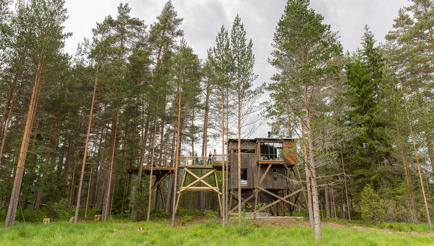 Kråkeslottet Trehyttene i Gjerstad hytte