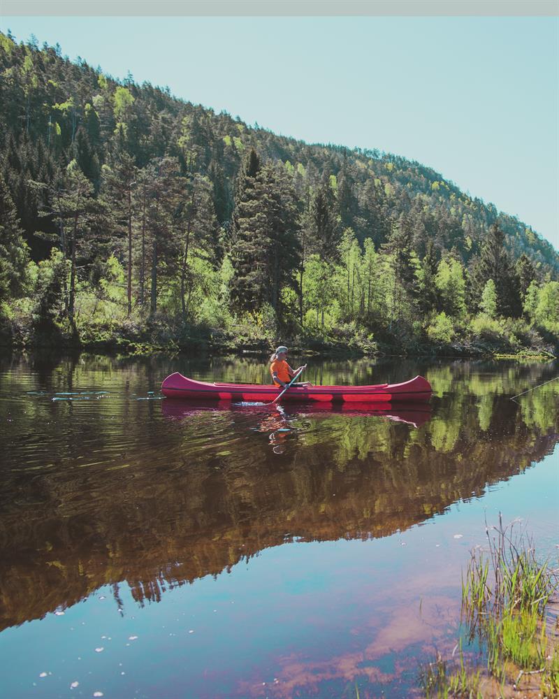 Mann som padler i kano på det stille vannet i elva, omgitt av skog og vakker natur