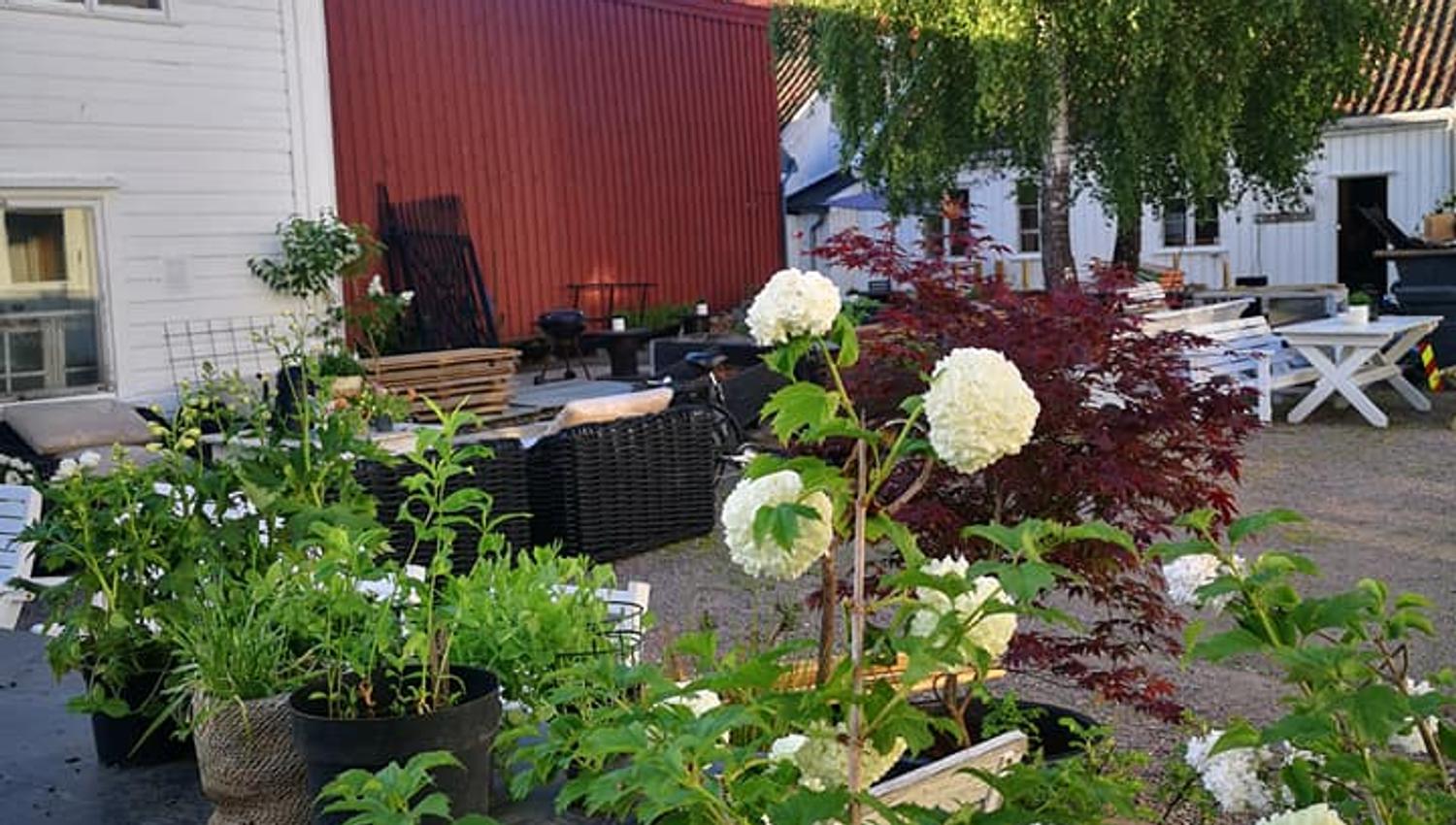 Posebyhaven