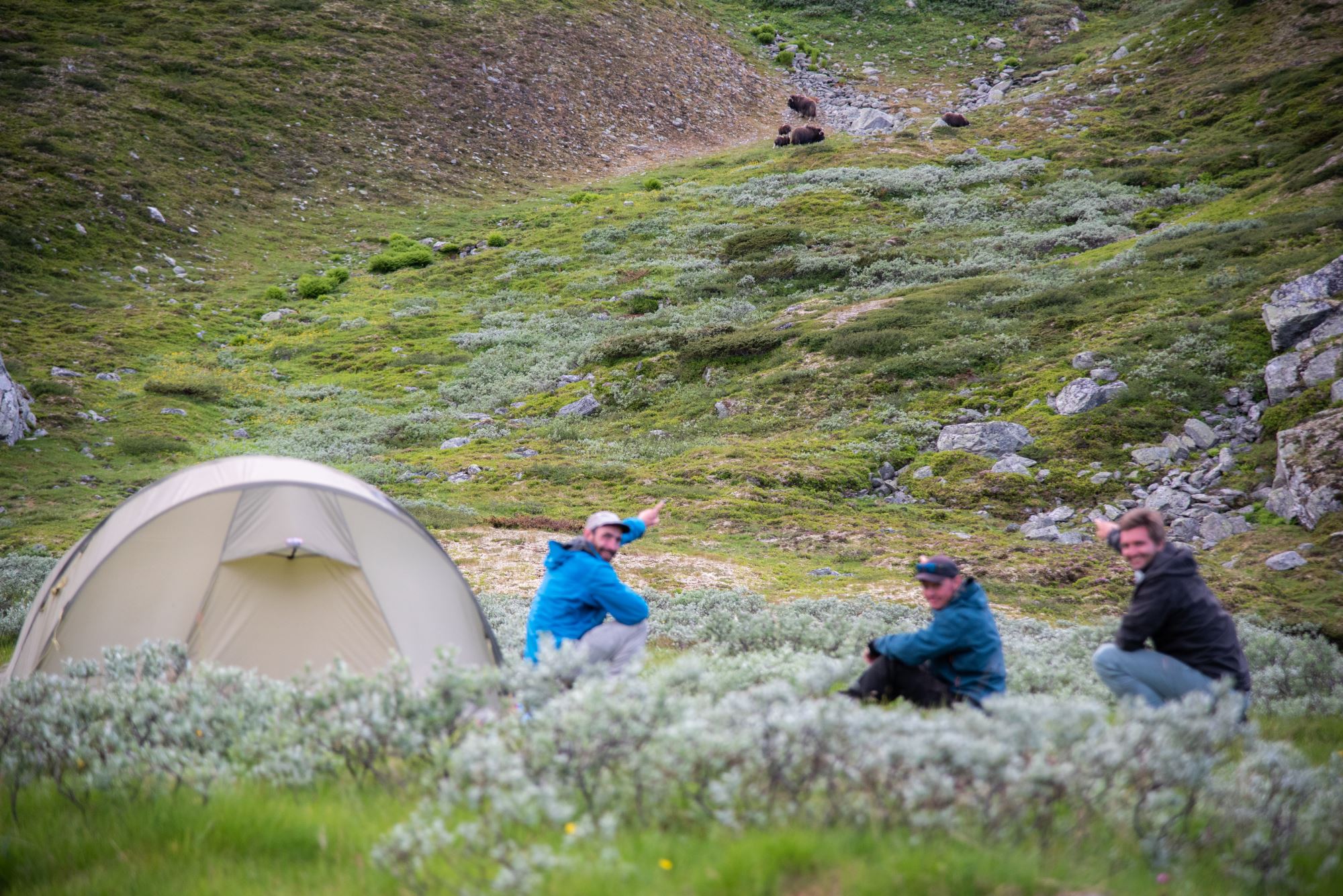 Moskussafari m/personlig guide, 2 dager