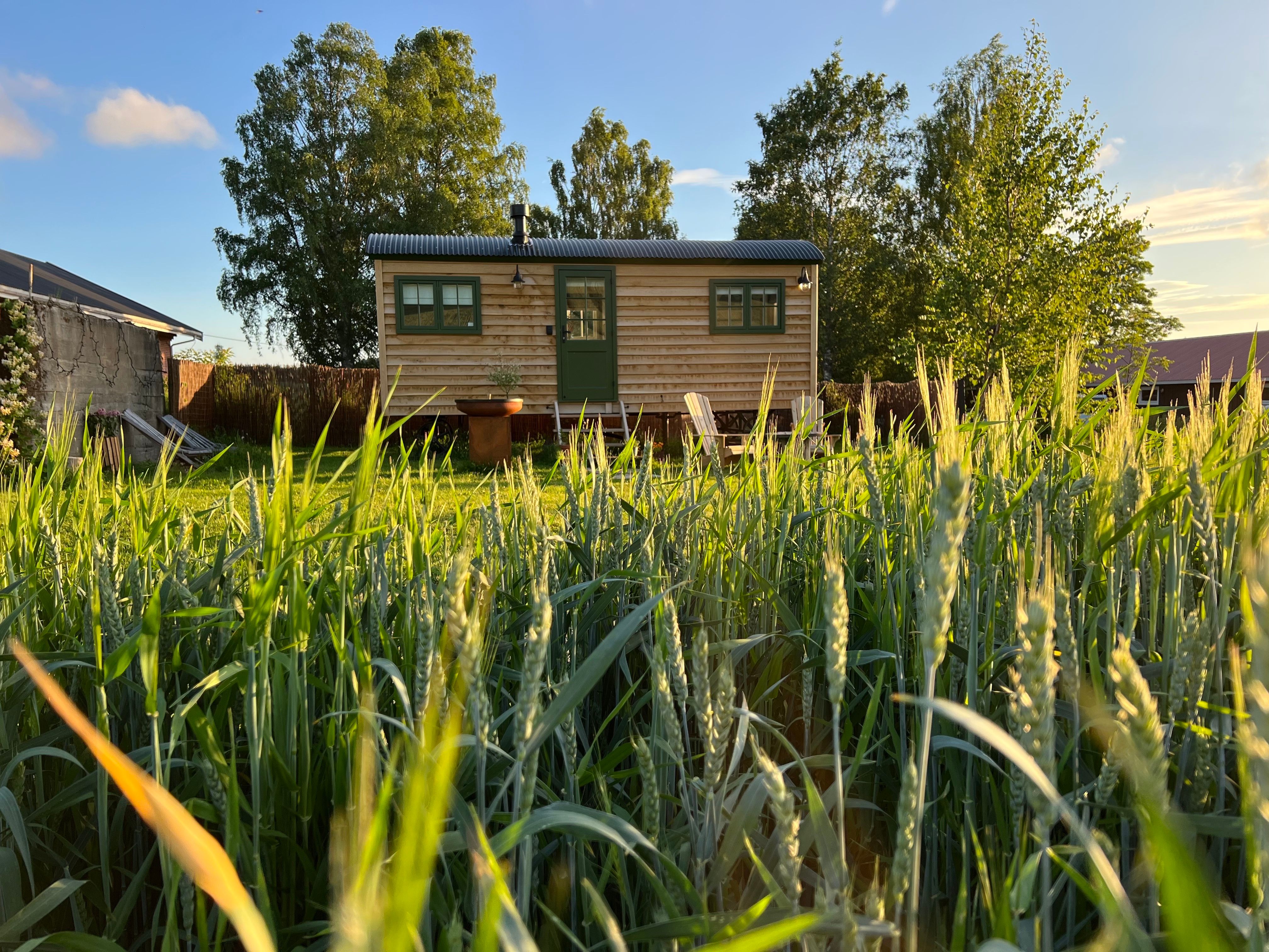 Shepherd´s Hut med åker