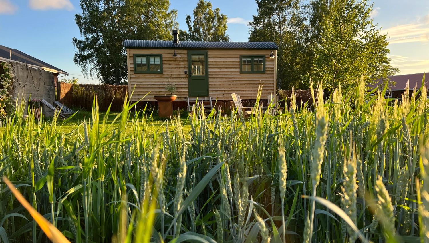 Shepherd´s Hut med åker