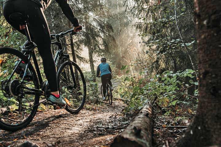 terrengsykkelsti i Skien fritidspark