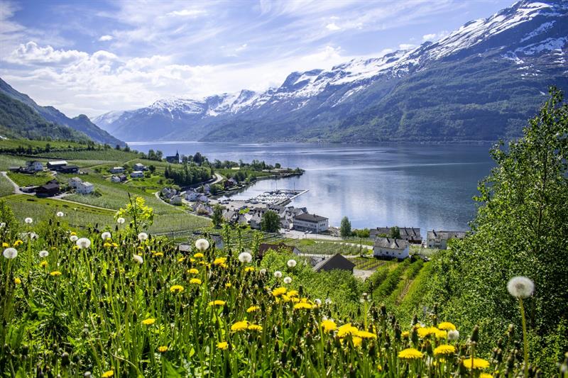 View of the Hardangerfjord