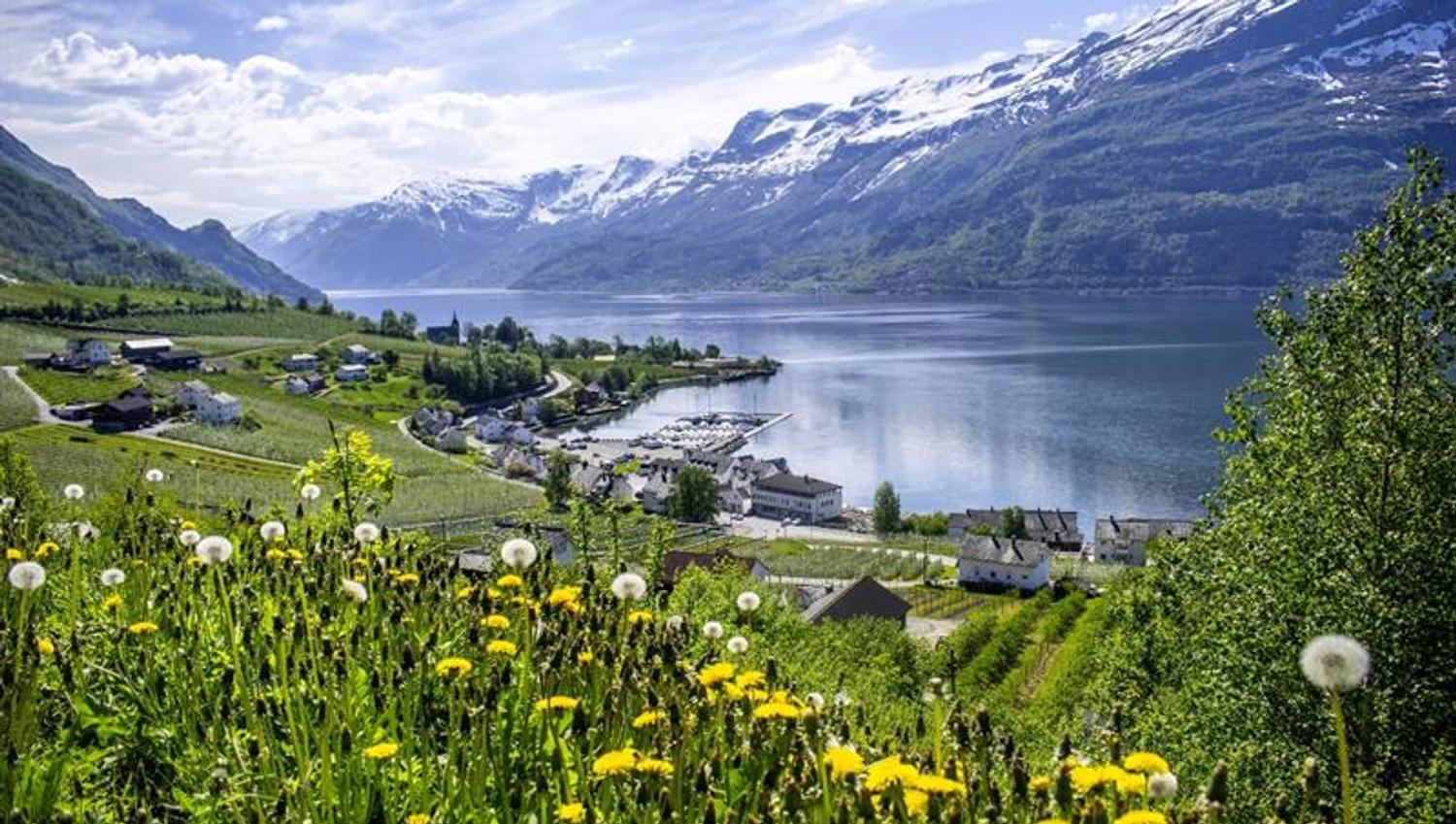 View of the Hardangerfjord