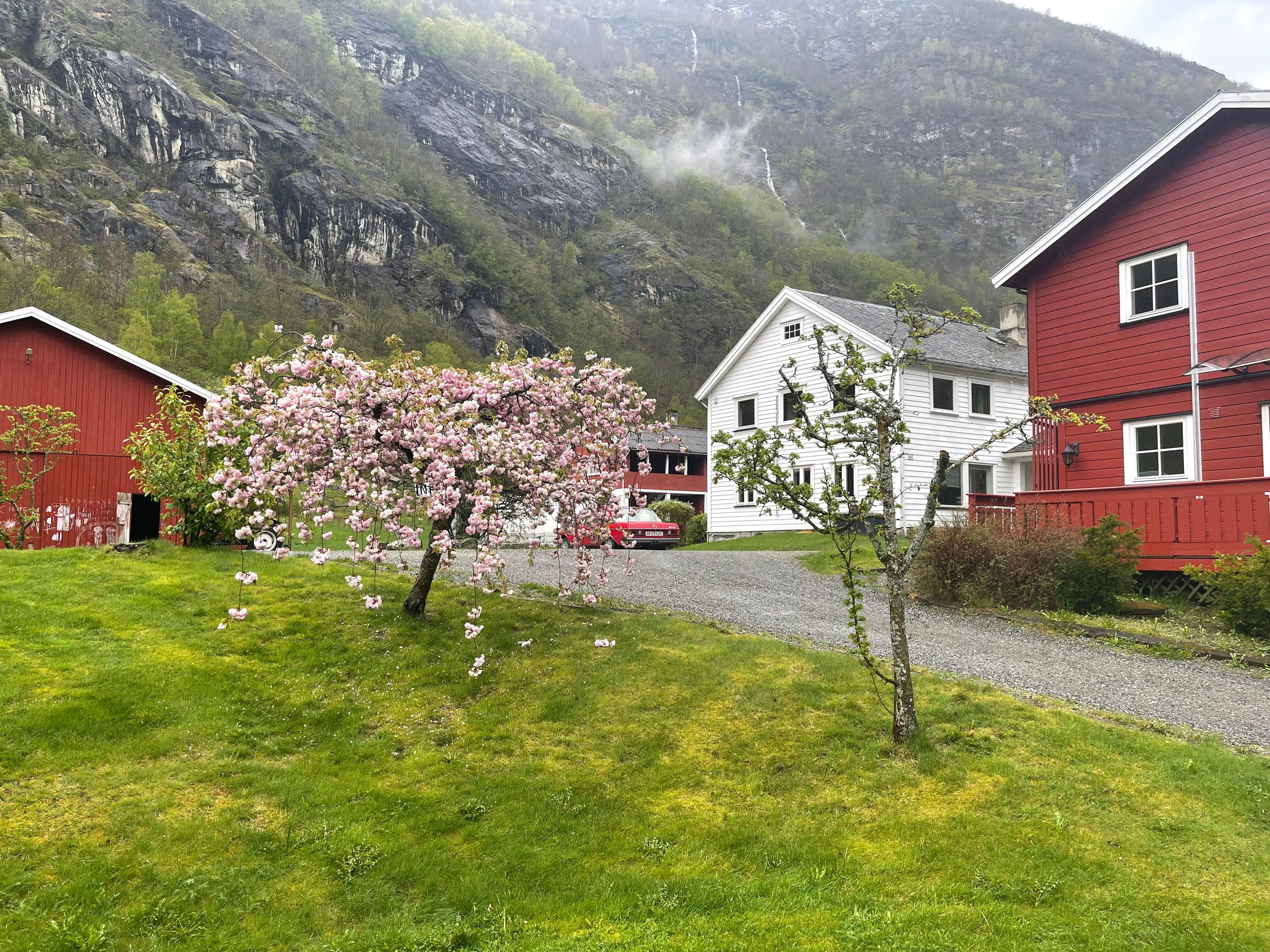 Skahjem Gard, Aurland