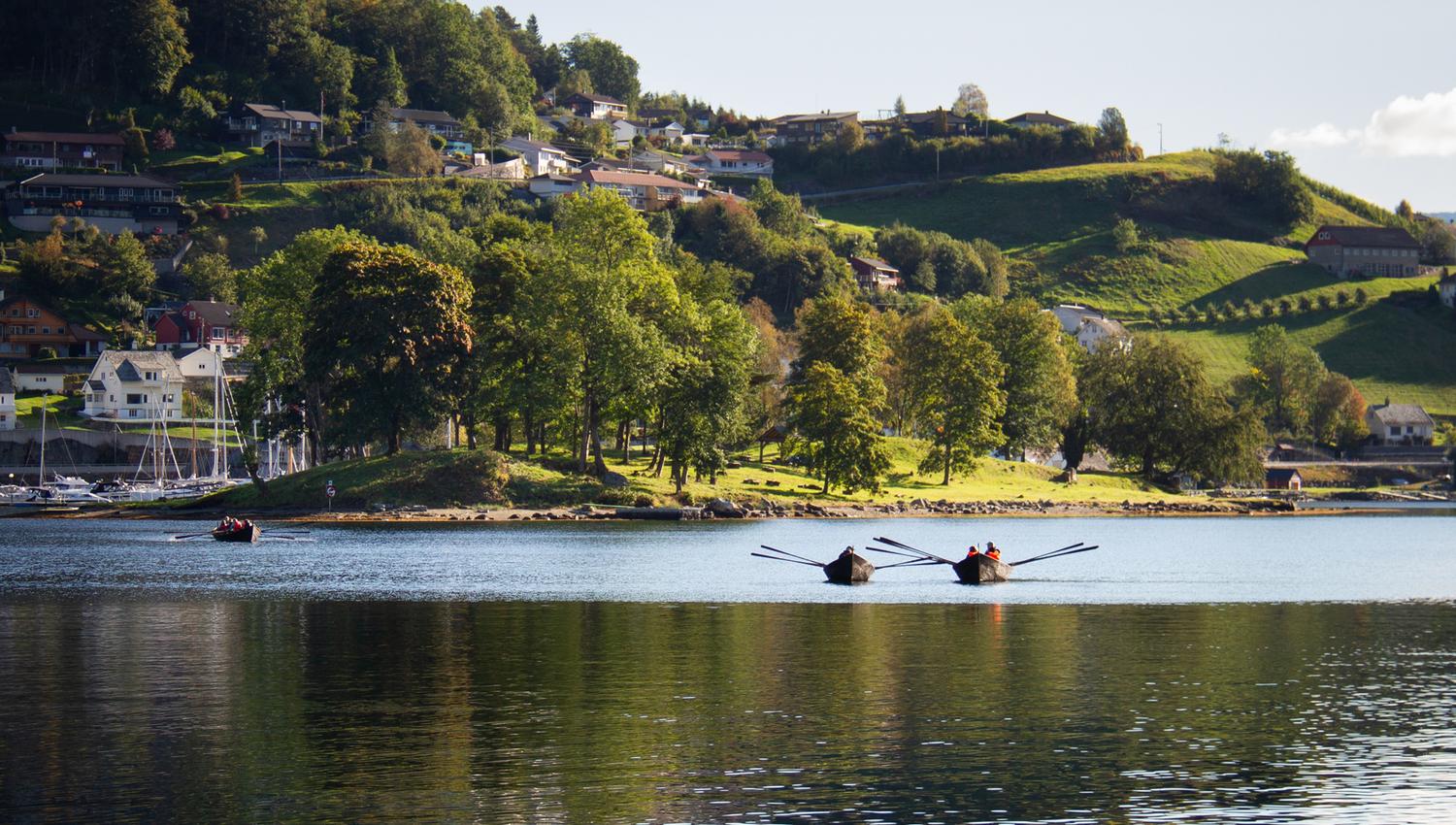 Rowboats on the fjord with green hills and houses in the background near Hardanger Maritime Center.