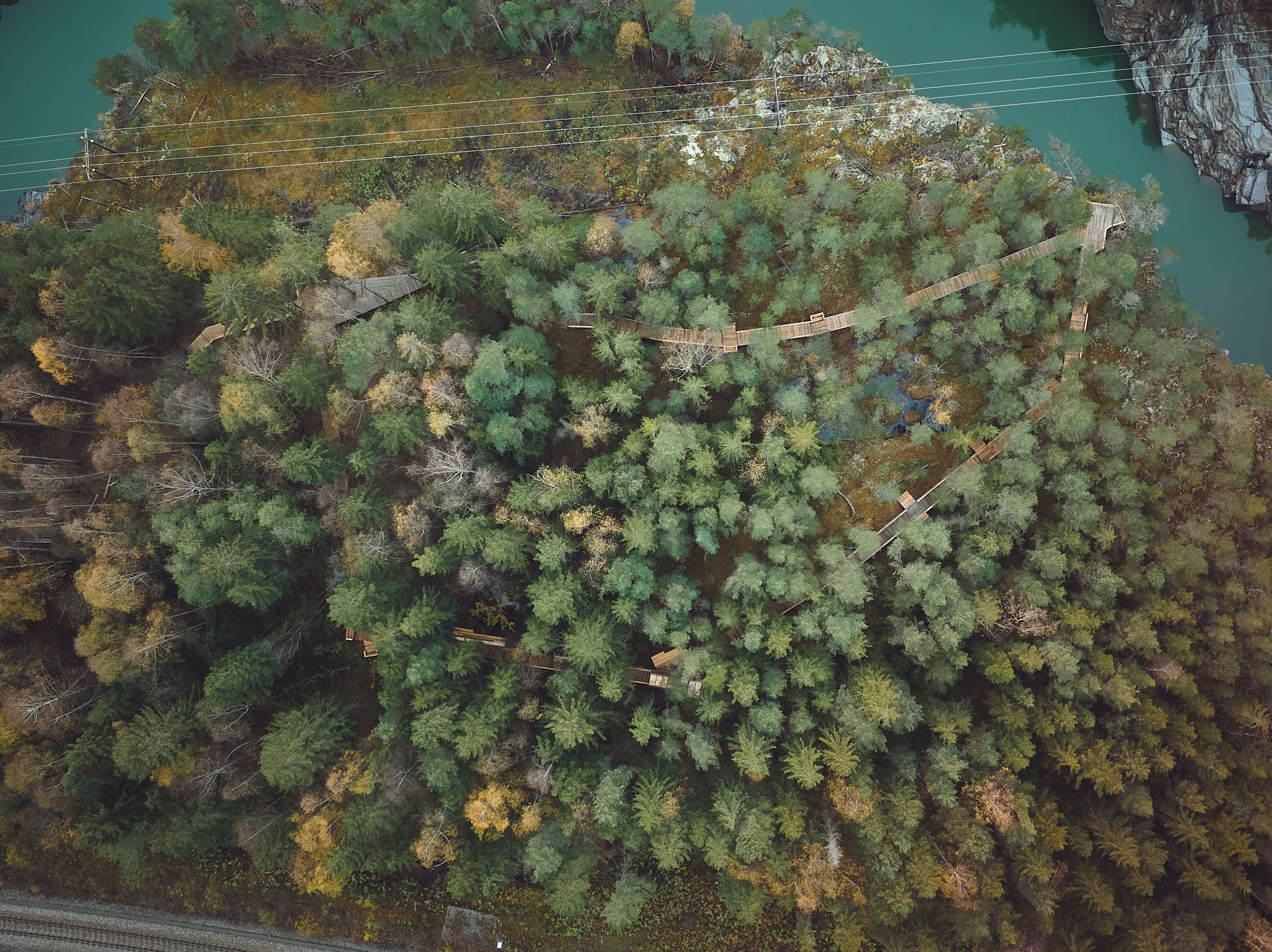 Okulus-Nattfly-Åpning-Web-DJI_0045