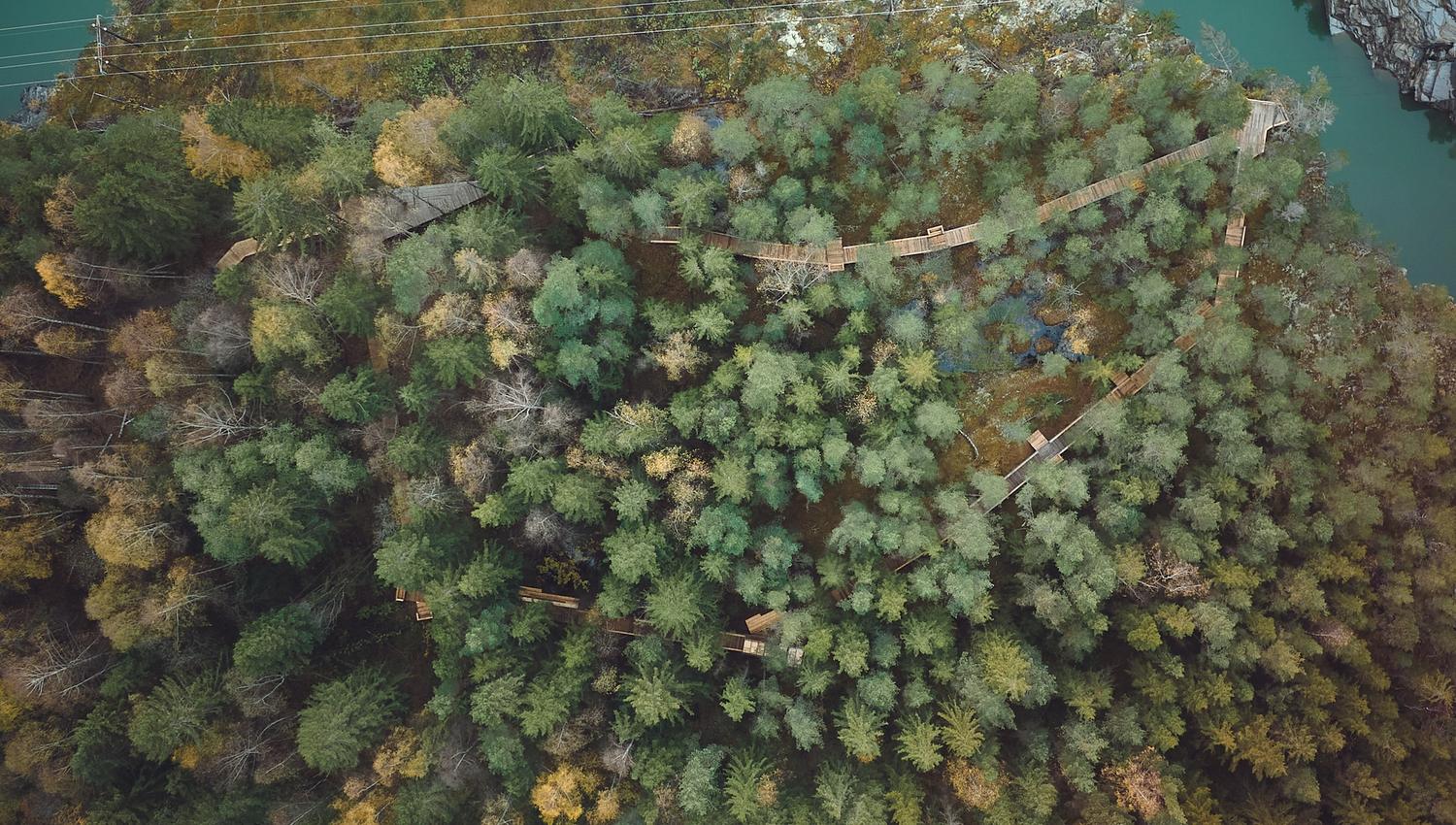 Okulus-Nattfly-Åpning-Web-DJI_0045