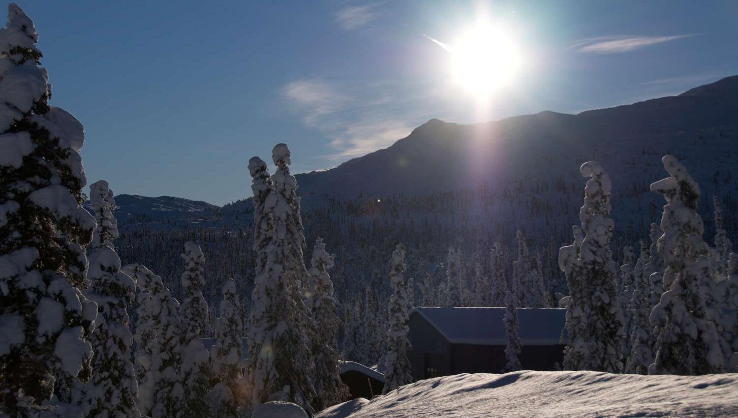 Høgevarde - hytte i kveldssol