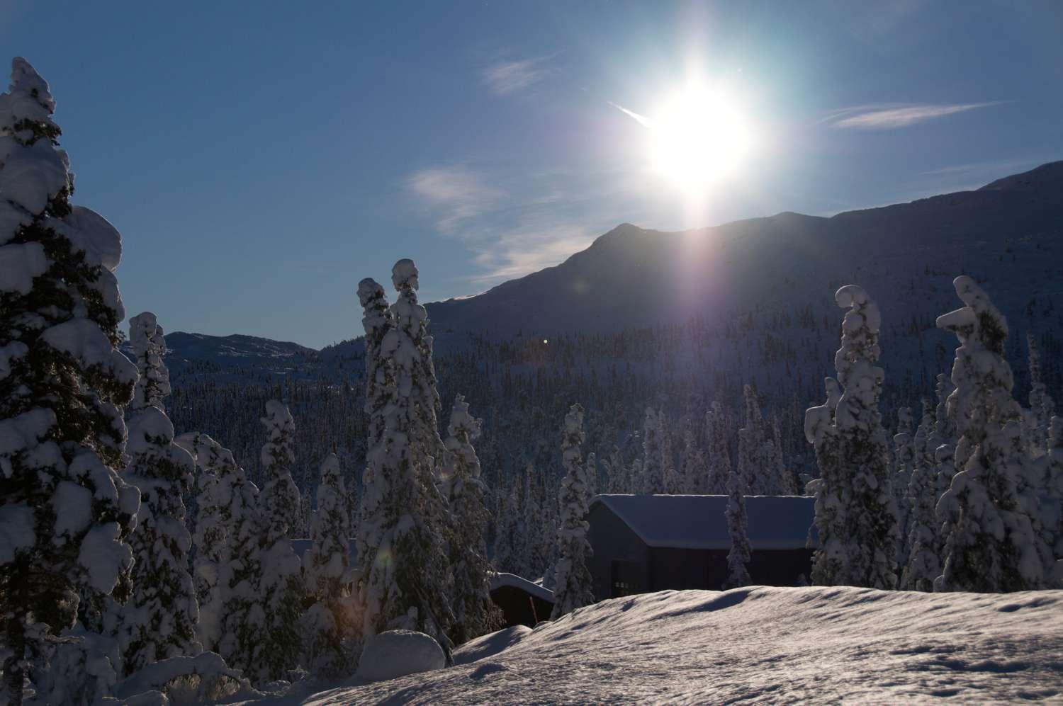 Høgevarde - hytte i kveldssol