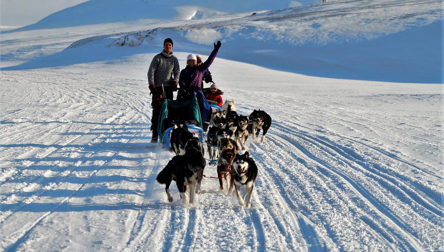 Glade vinkende gjester på tur med hundespann