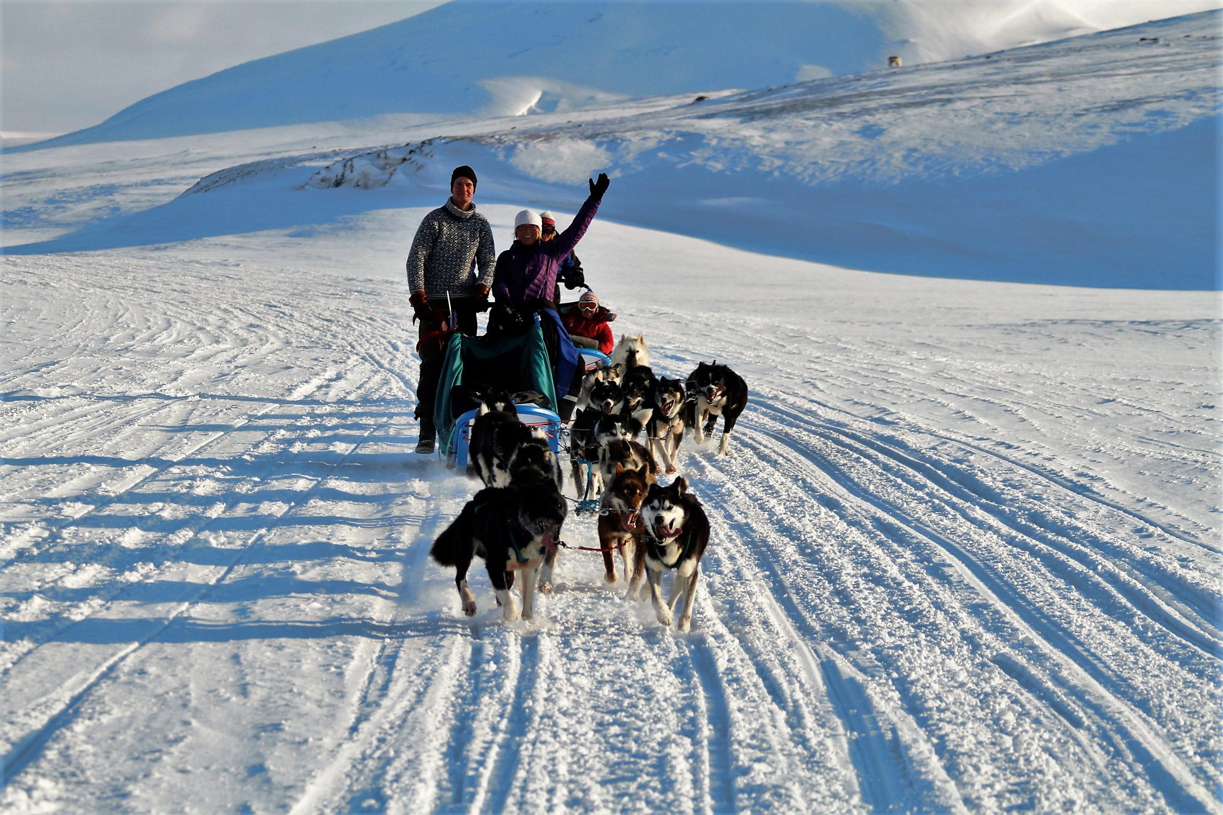 happy guests waving their hands during a dogsledding trip