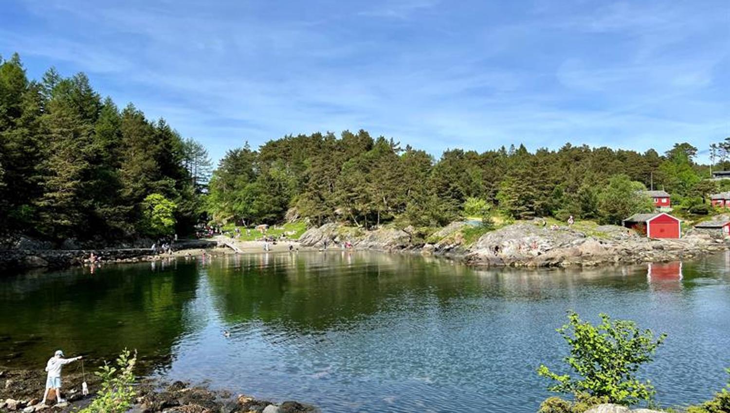 Grønevika Arboretet på Milde