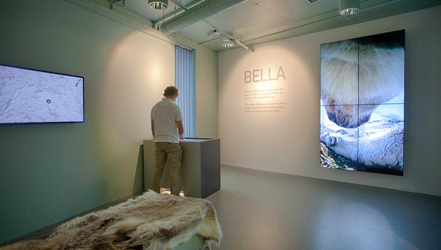 reindeer exhibition at Hardangervidda National Park Center