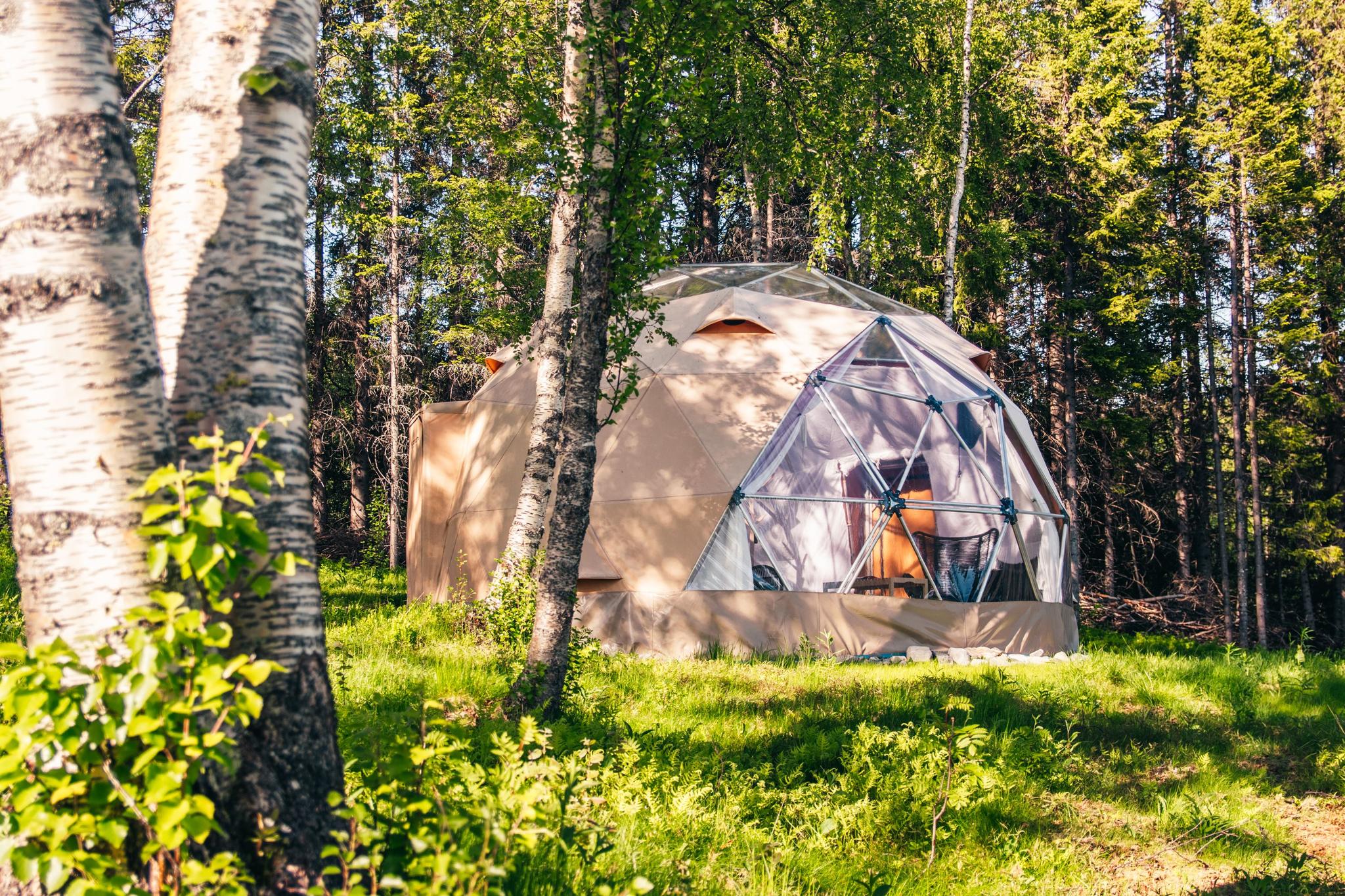 Café and Accommodation at Bjørklund Farm