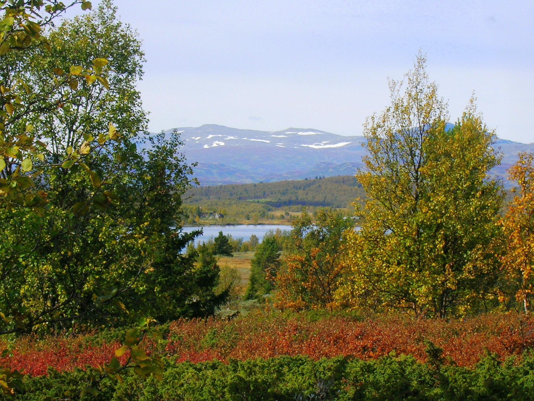 Høst på Torpoåsen