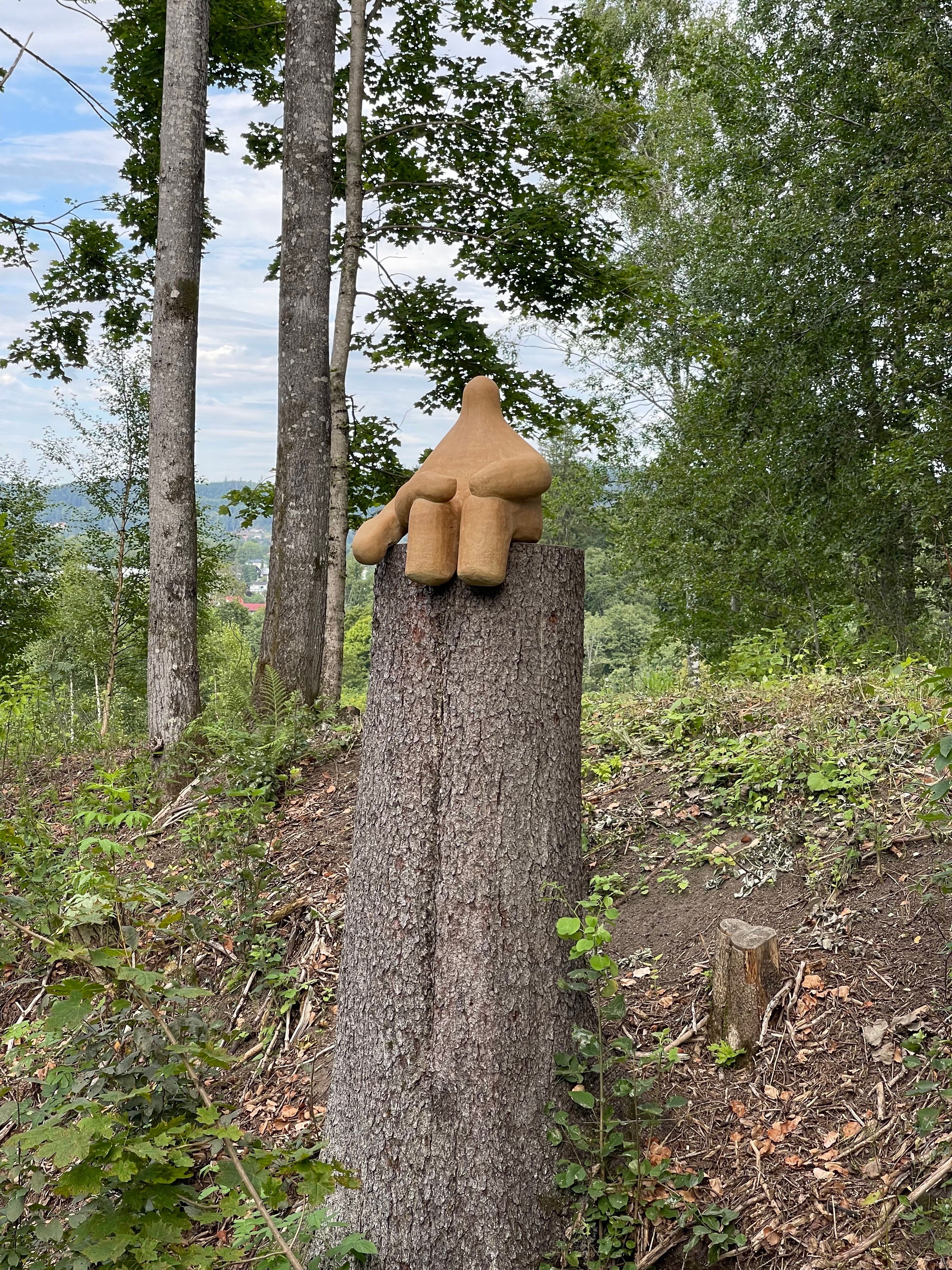 Kunst på en avkuttet tre i naturen