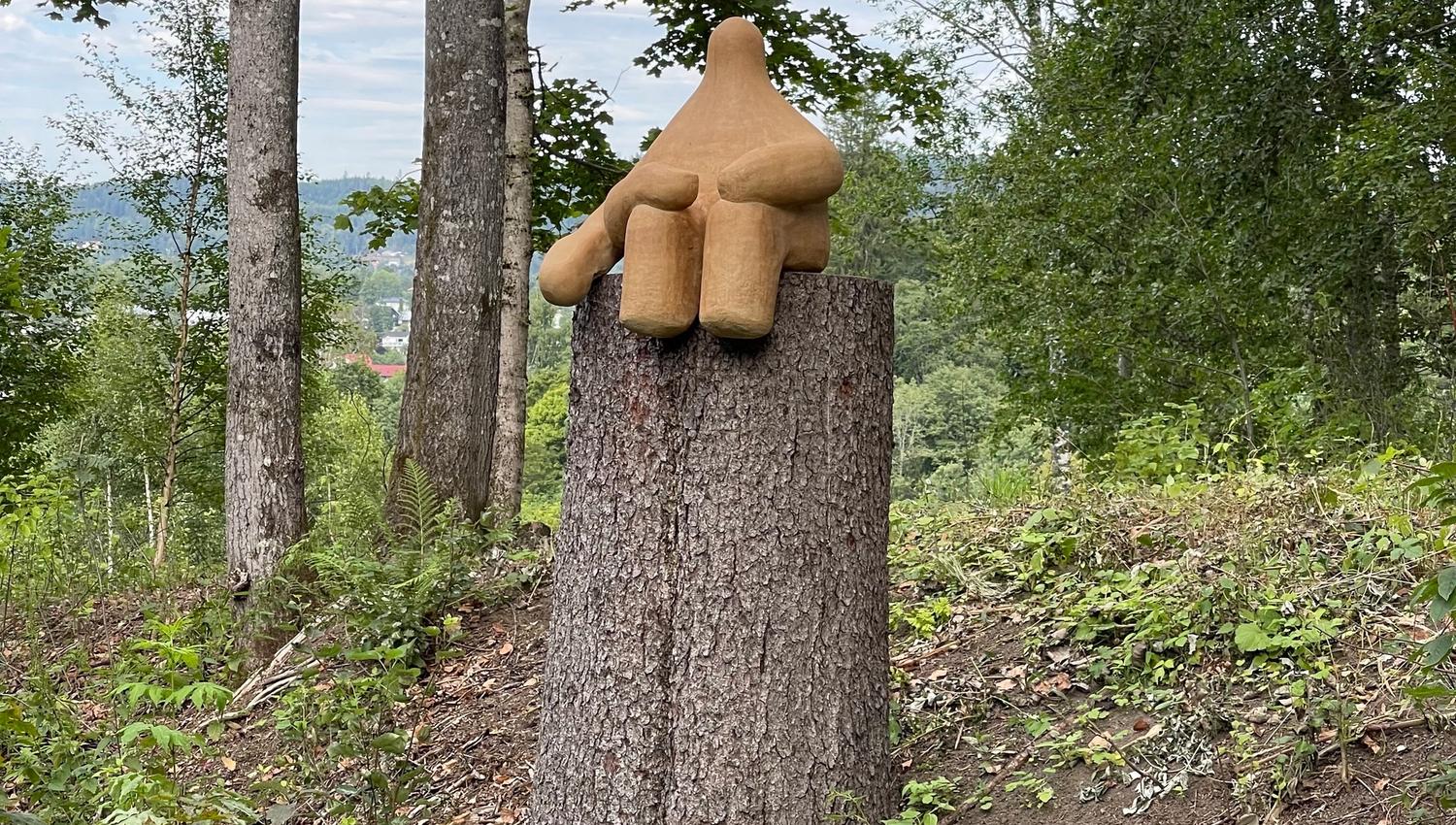 Kunst på en avkuttet tre i naturen