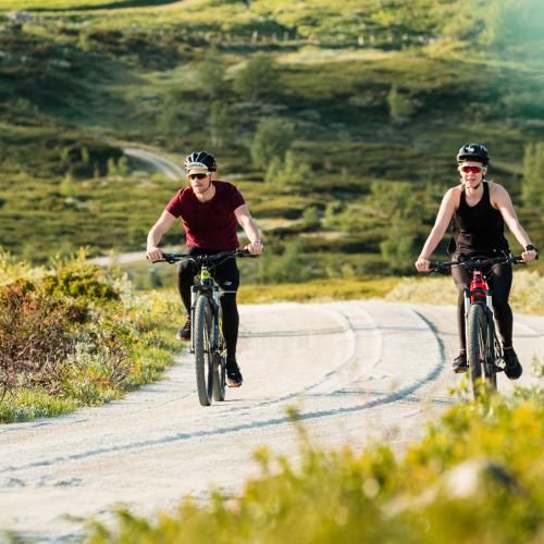 Sykkeluteie-Paul-Lockhart