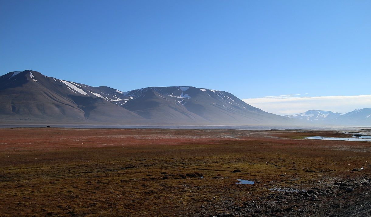 from adventdalen, late summer
