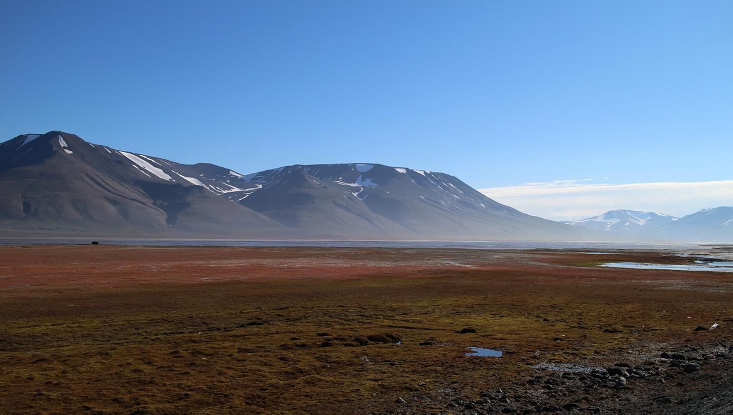 from adventdalen, late summer
