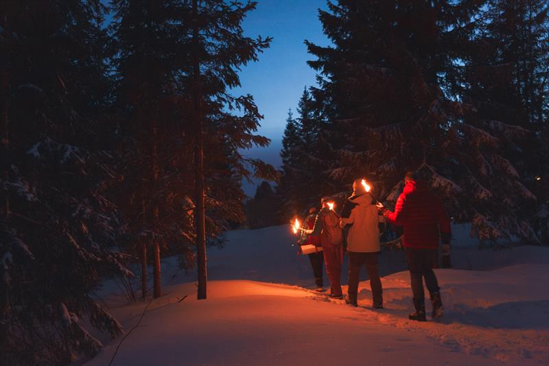 Torchlight tour in the woods