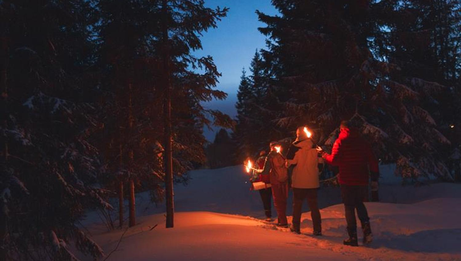 Torchlight tour in the woods