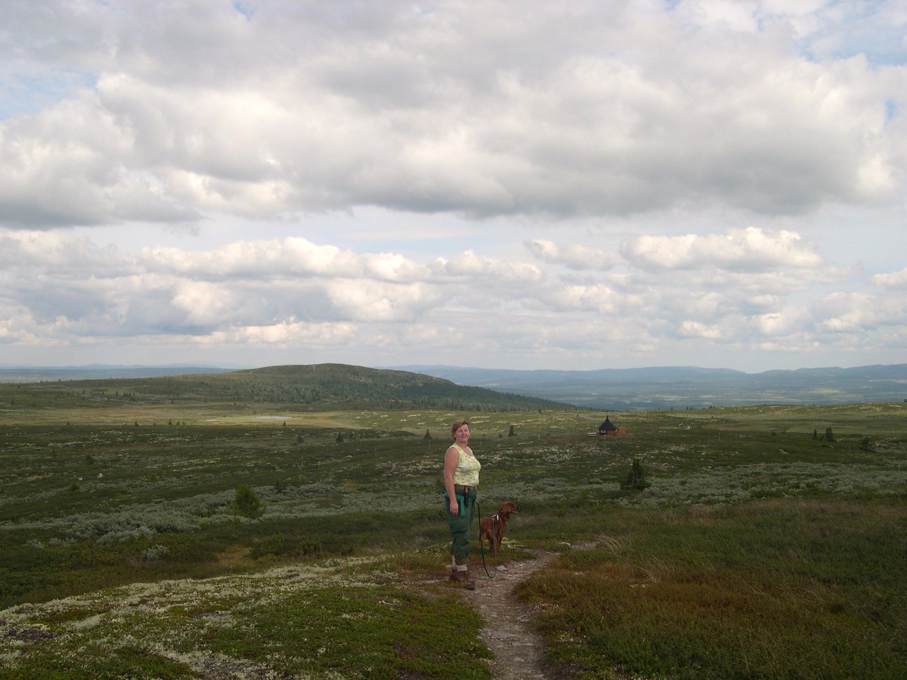 Veslefjell, Golsfjellet, Gol