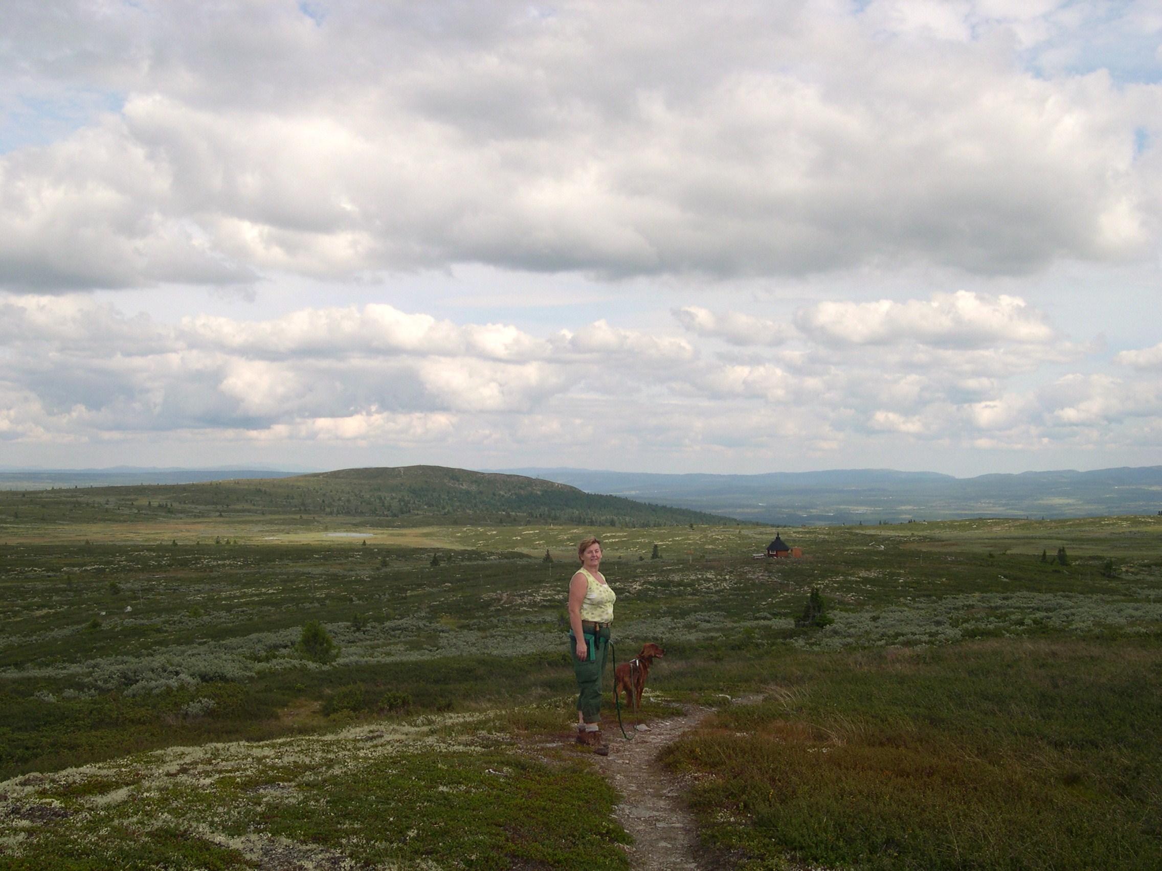 Veslefjell, Golsfjellet, Gol
