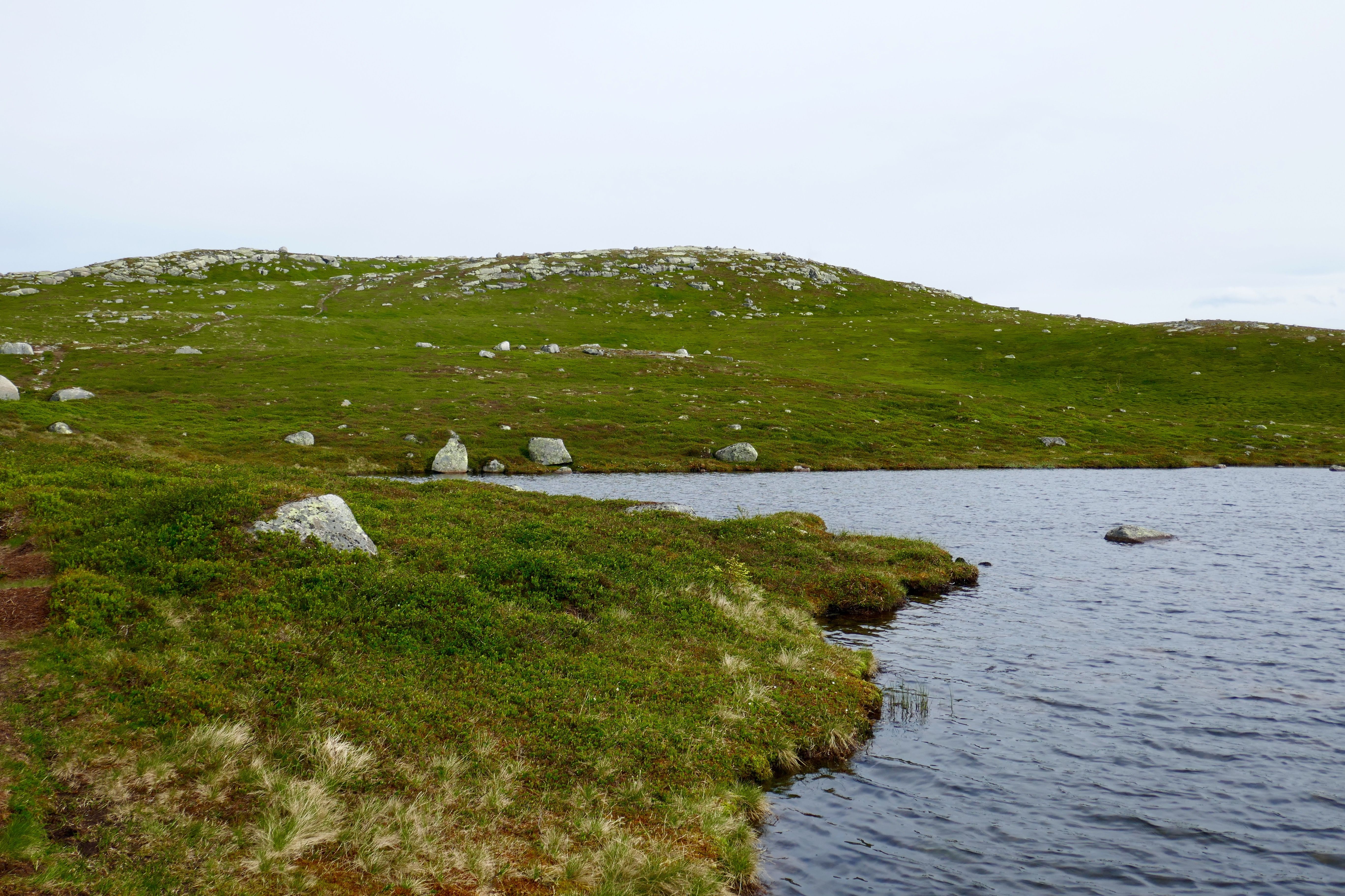 Vassfarstien, Ringerike - Vannkant