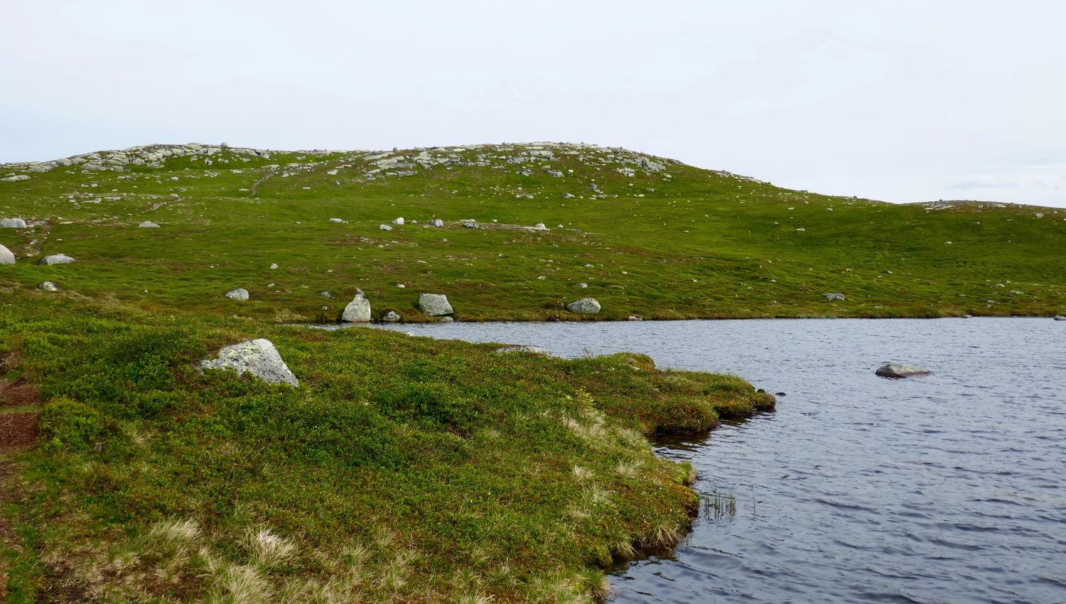 Vassfarstien, Ringerike - Vannkant