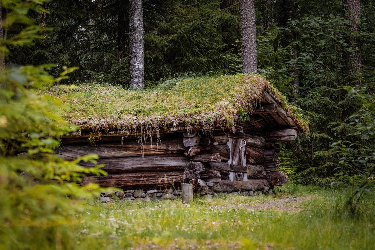Anno Norwegian forest museum