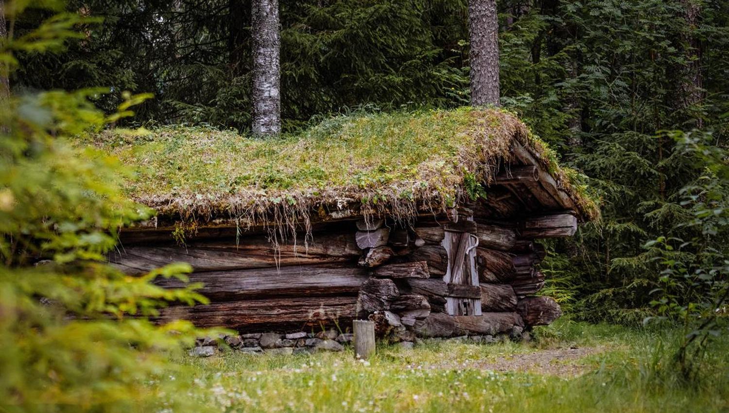 Anno Norwegian forest museum