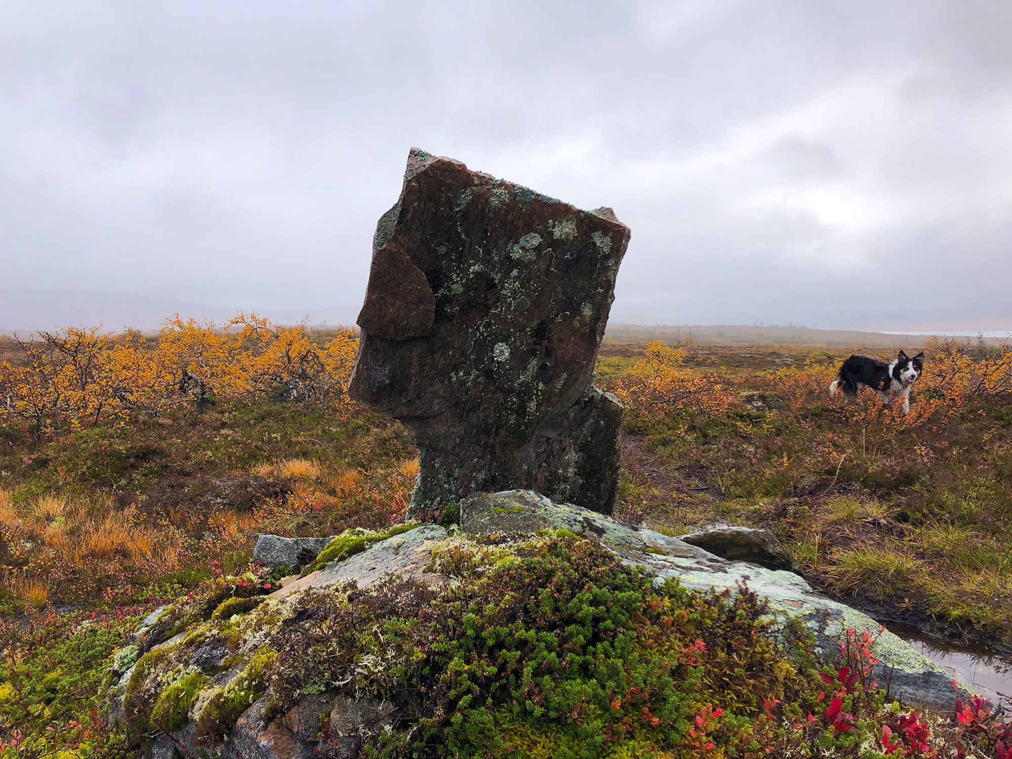 Snåsa Plukktjønnfjellet tur 2021 Foto Linn Marita Larsson (8)