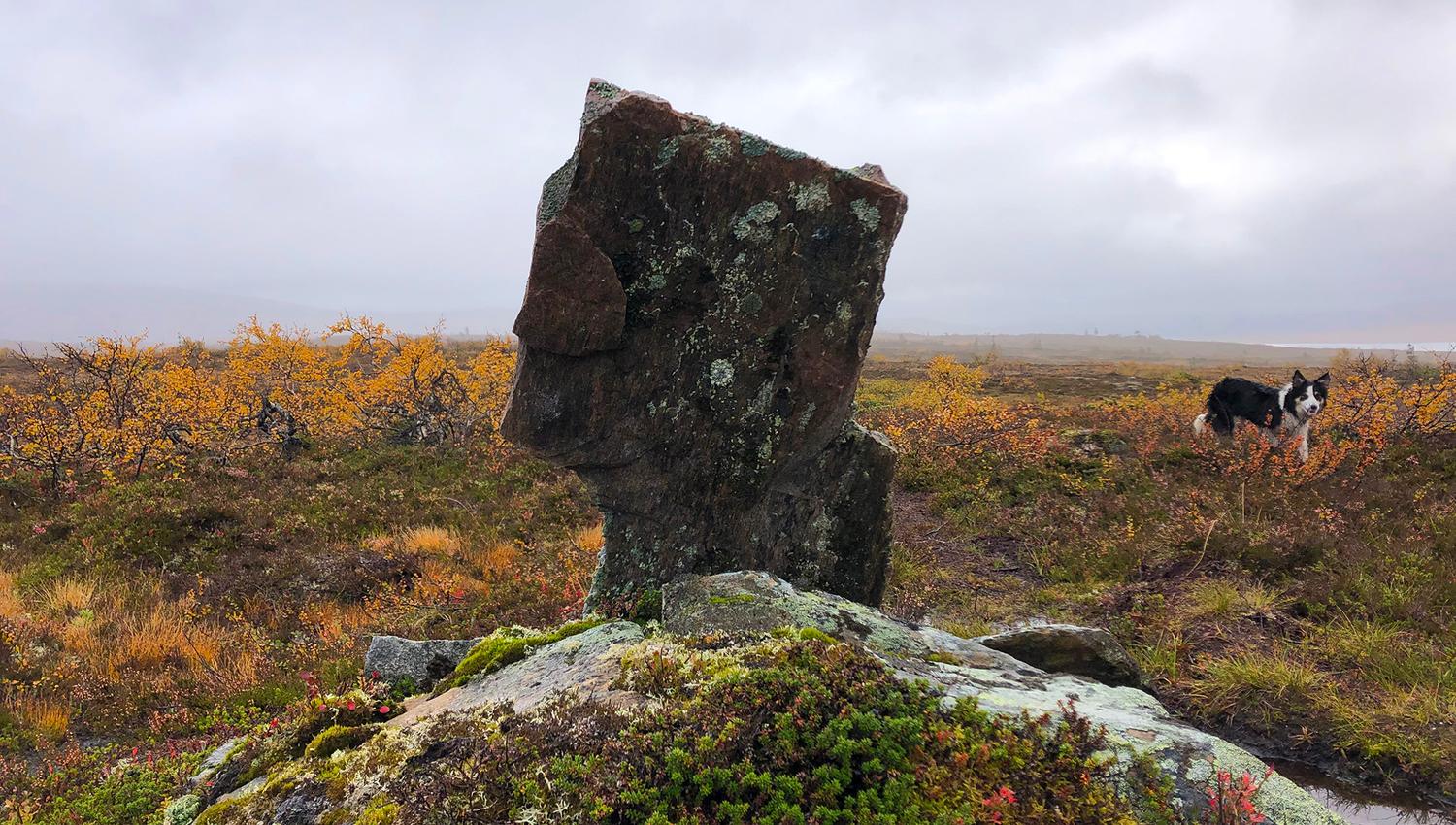 Snåsa Plukktjønnfjellet tur 2021 Foto Linn Marita Larsson (8)