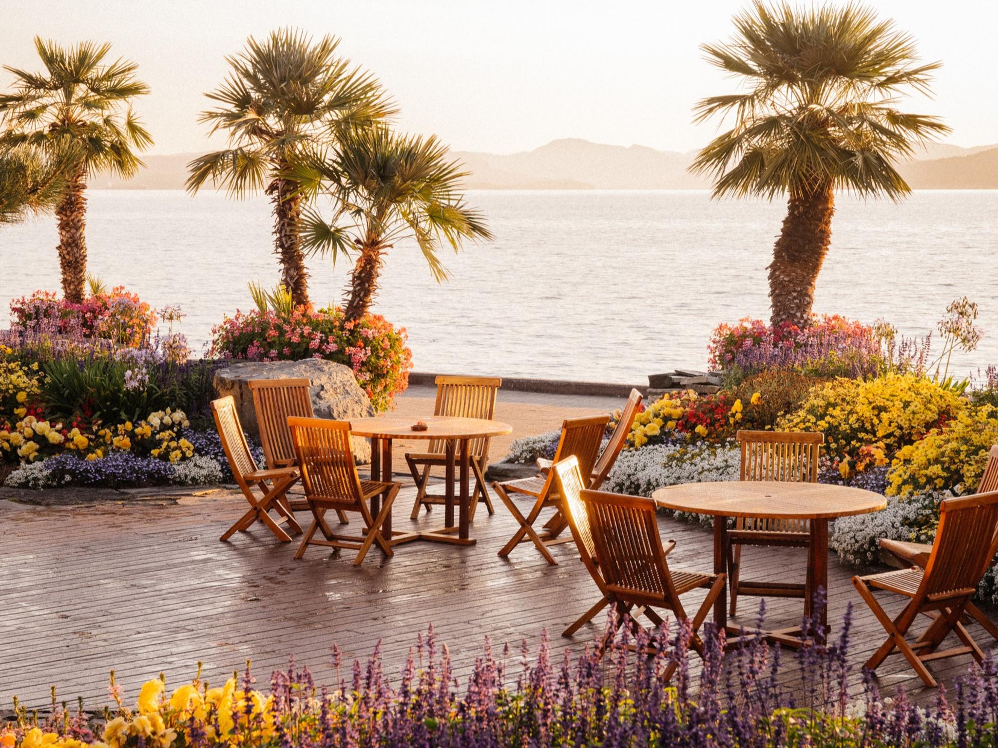 Spis godt i palmesus på Flor & Fjære