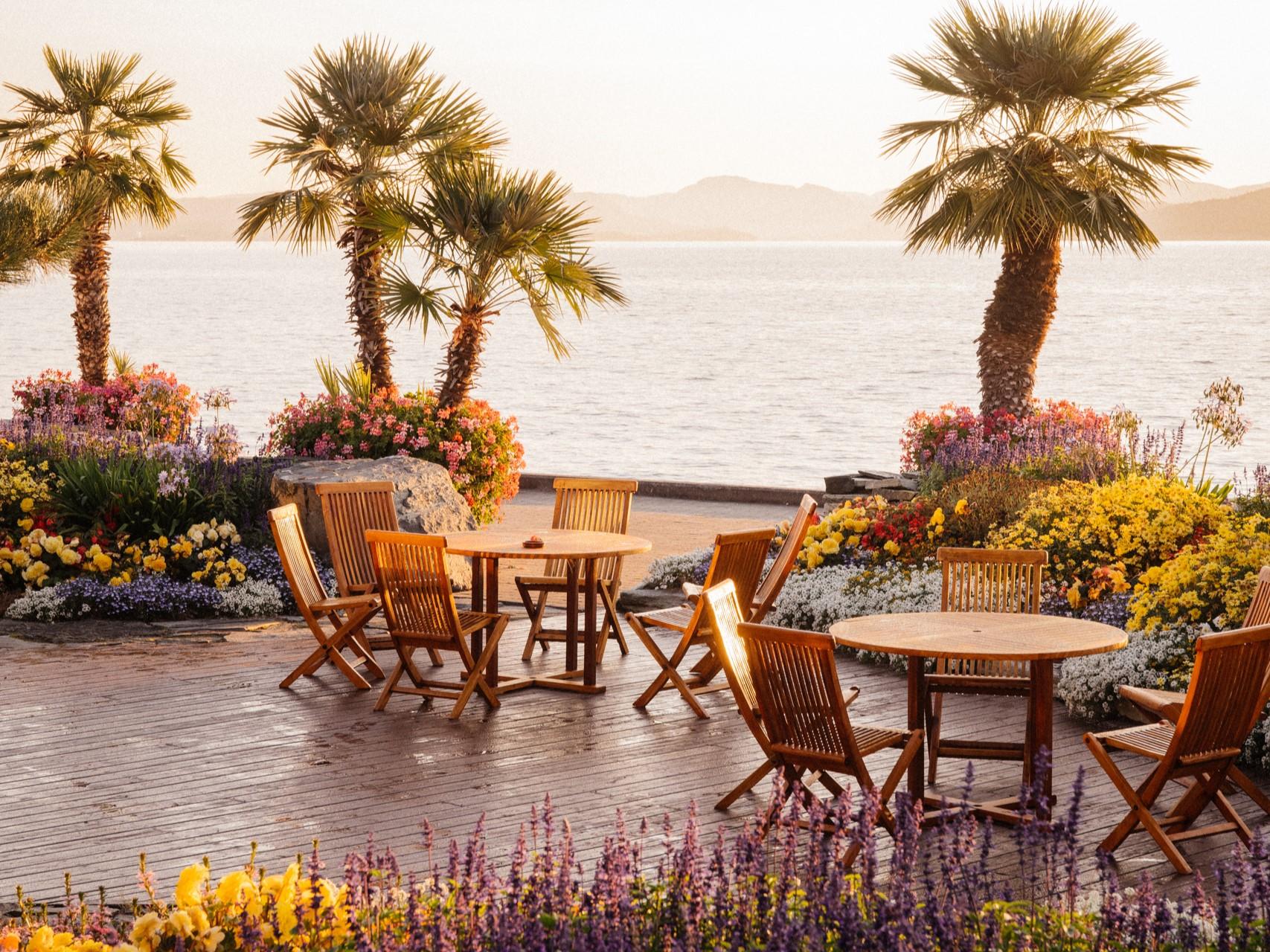 Speisen unter Palmen bei Flor & Fjære