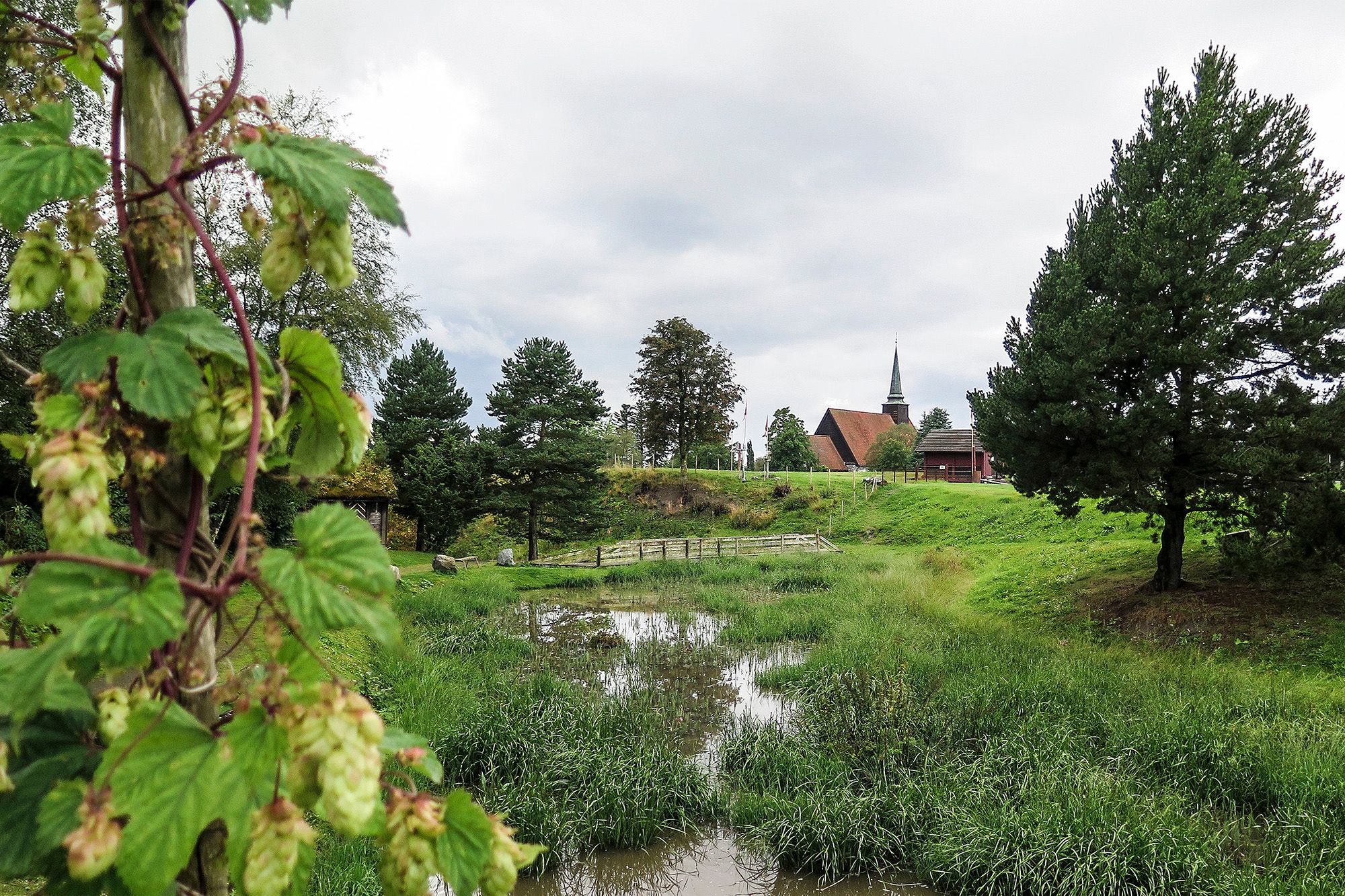 RPS Foto Eskil Roll Stiklestad