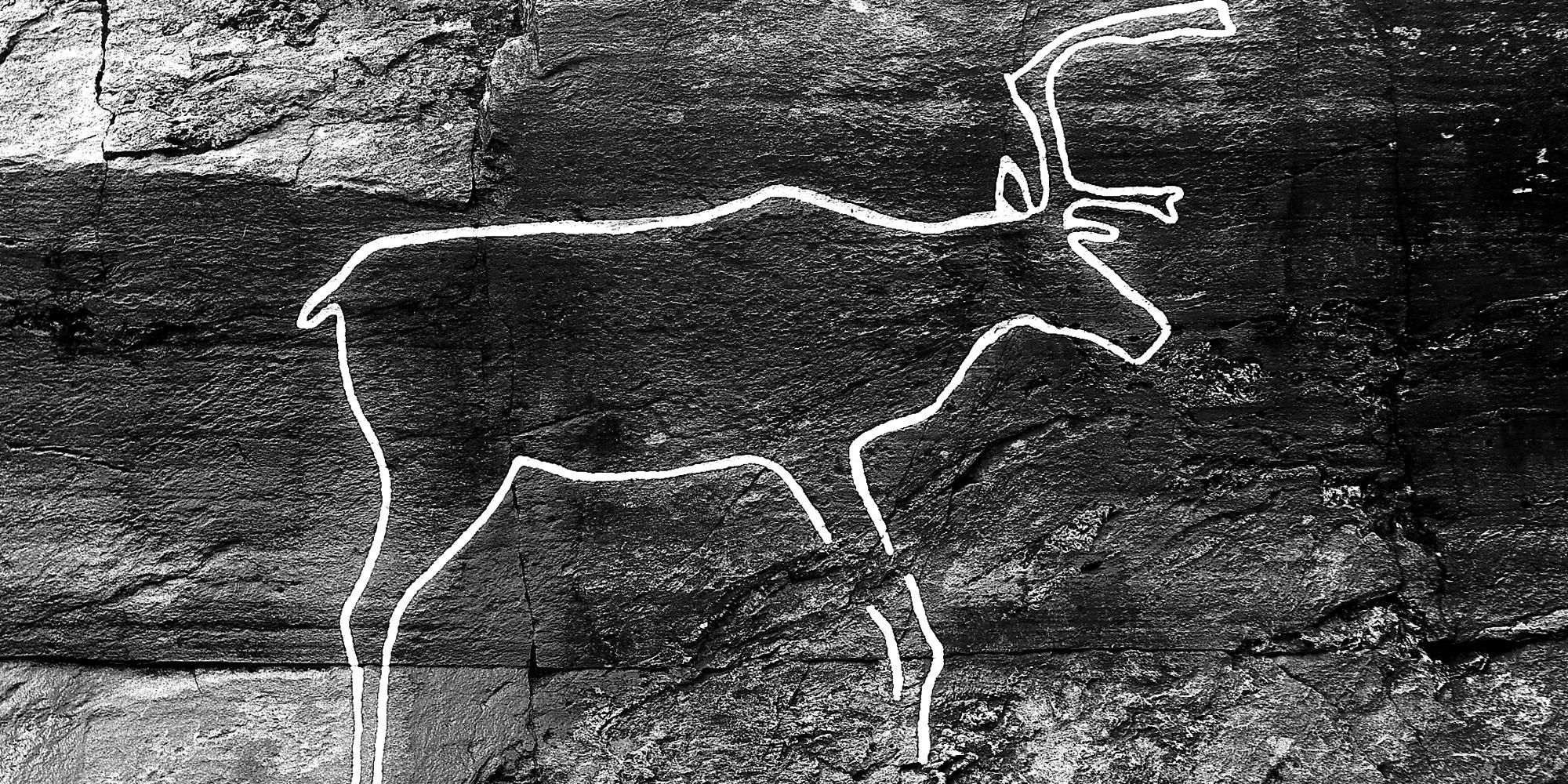 The Bølarein/reindeer - Scandinavias most famous rock carving