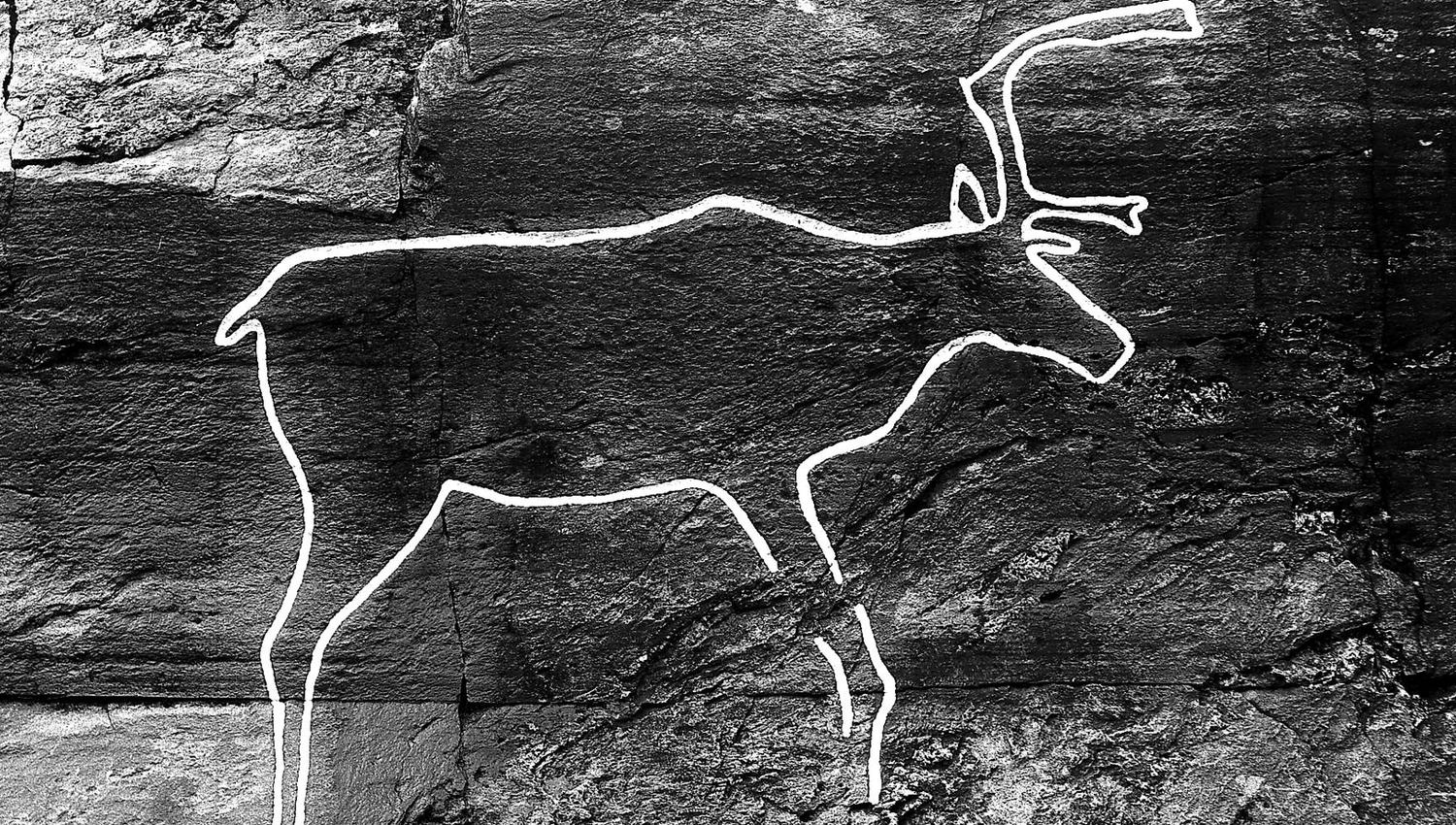 The Bølarein/reindeer - Scandinavias most famous rock carving